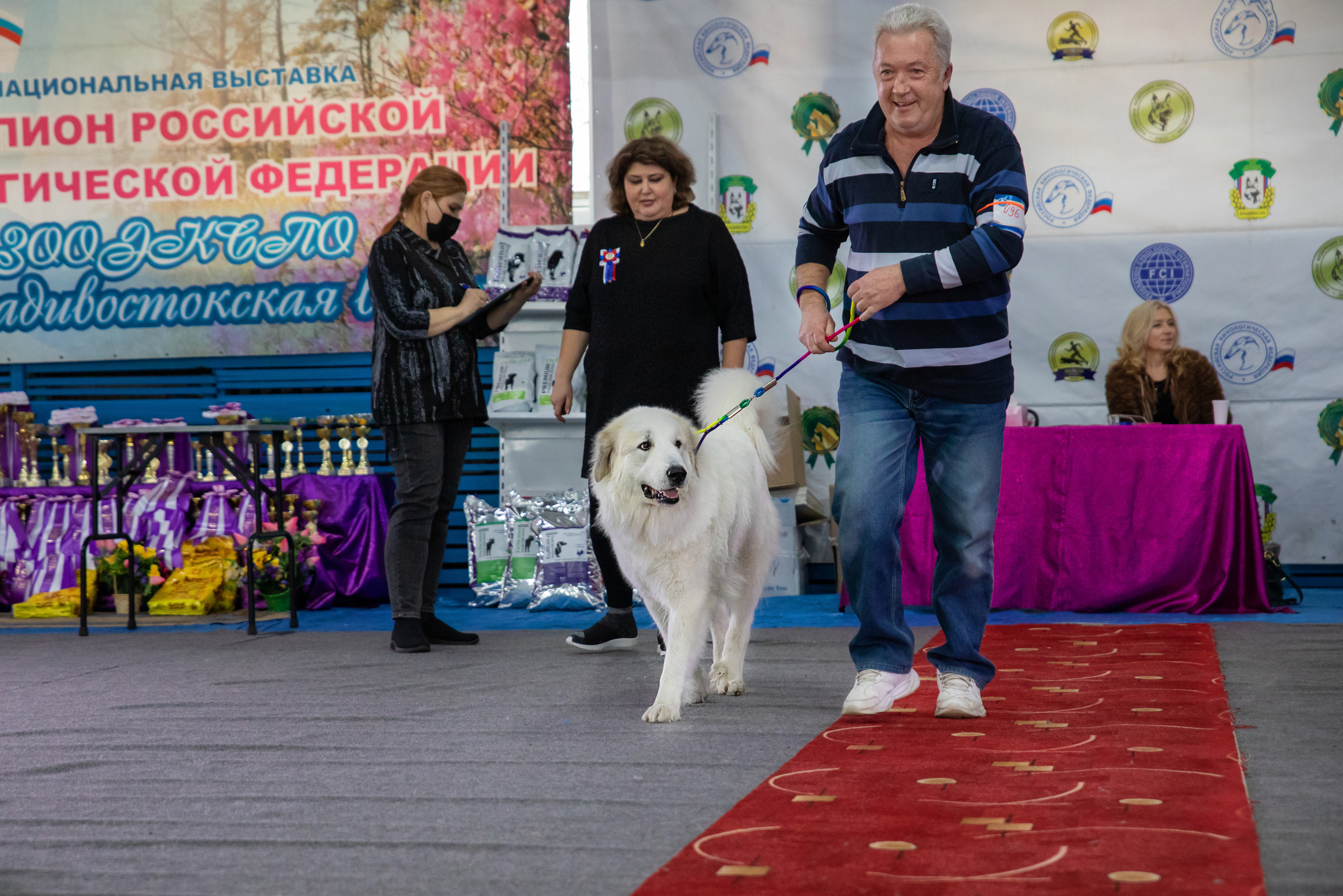Друзья наши меньшие. Семейный и частный фотограф во Владивостоке