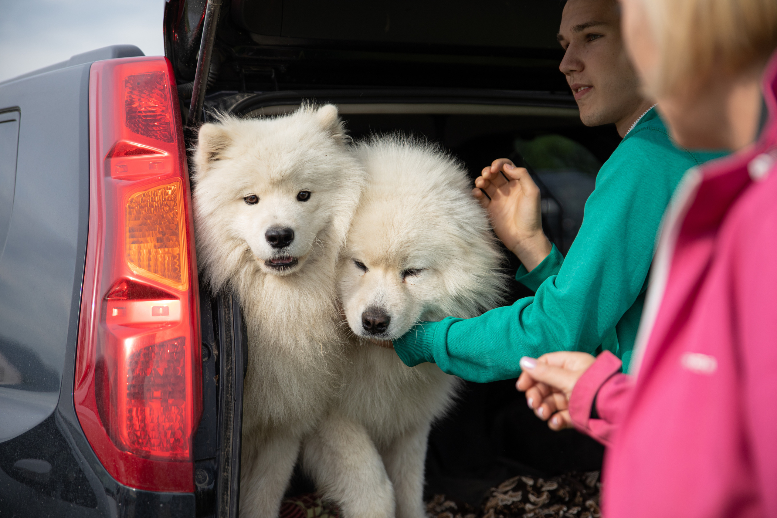 Друзья наши меньшие. Семейный и частный фотограф во Владивостоке