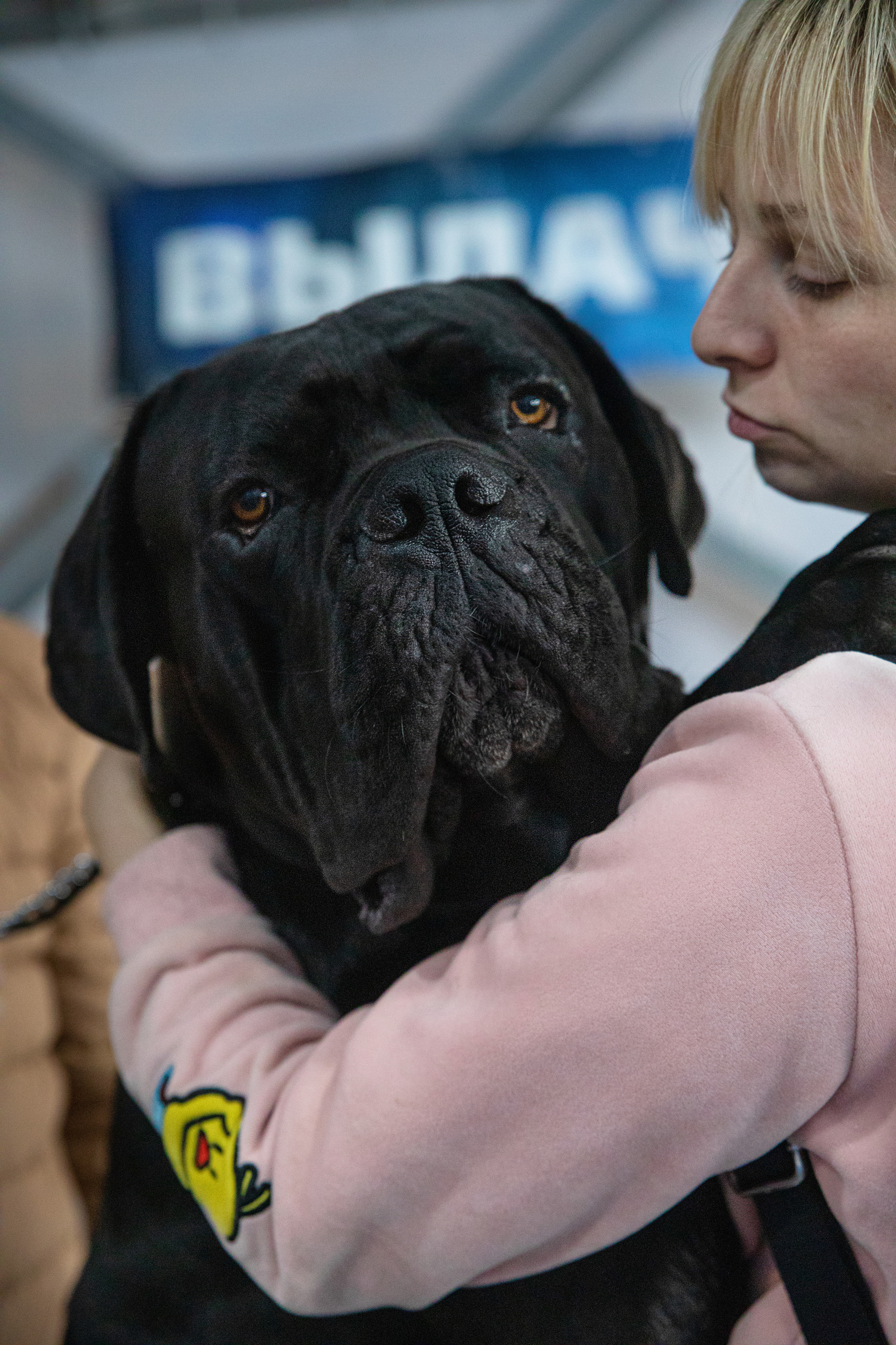 Друзья наши меньшие. Семейный и частный фотограф во Владивостоке