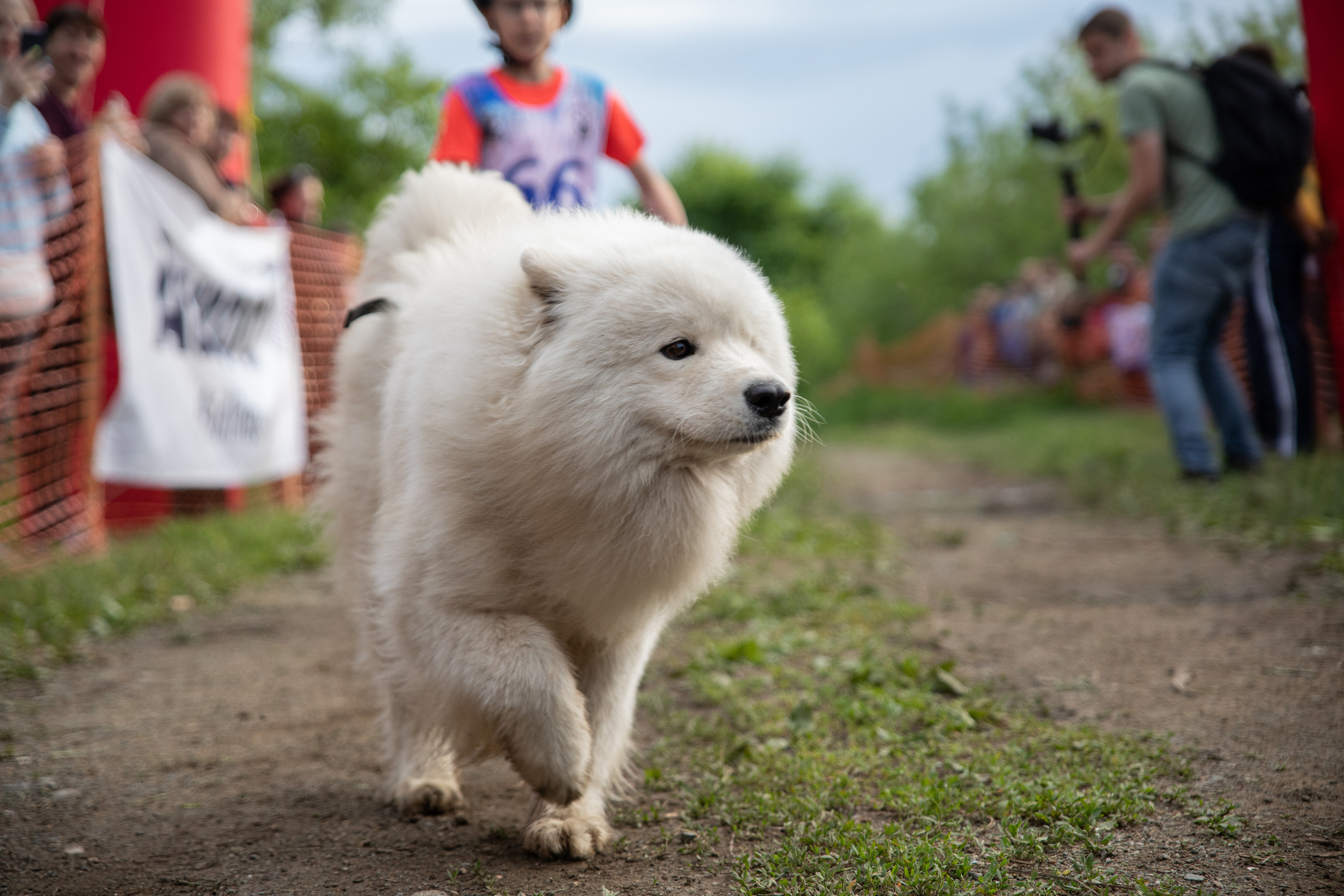 Друзья наши меньшие. Семейный и частный фотограф во Владивостоке