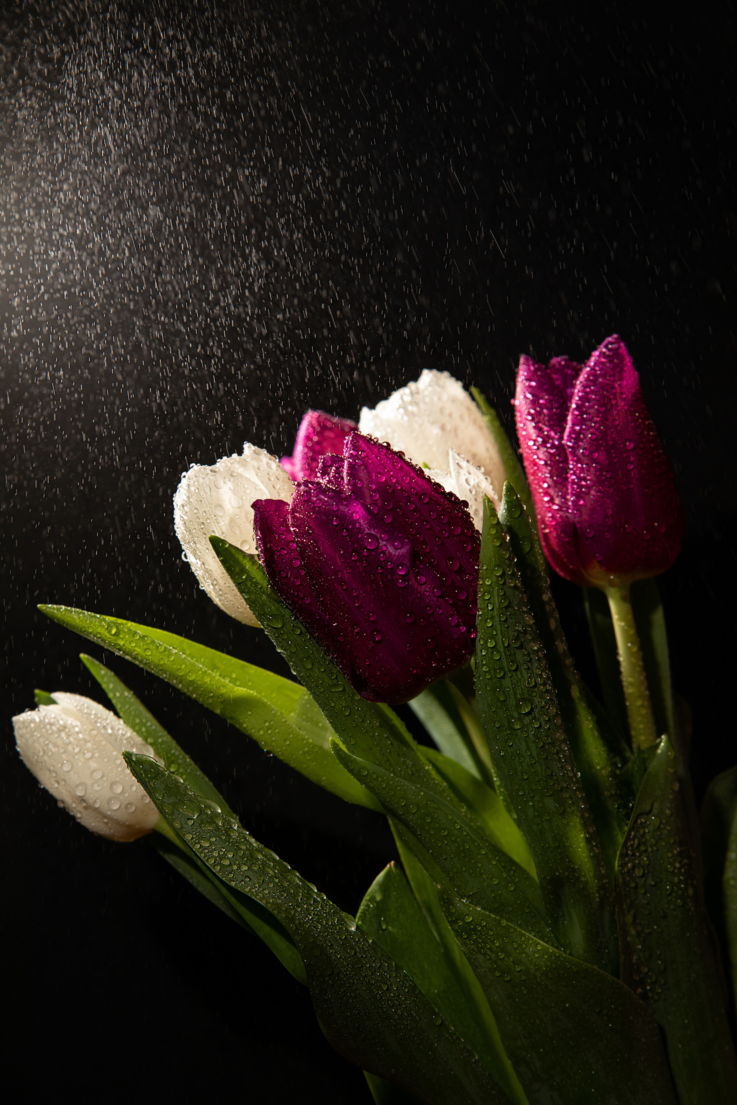 Предметная. Семейный и частный фотограф во Владивостоке