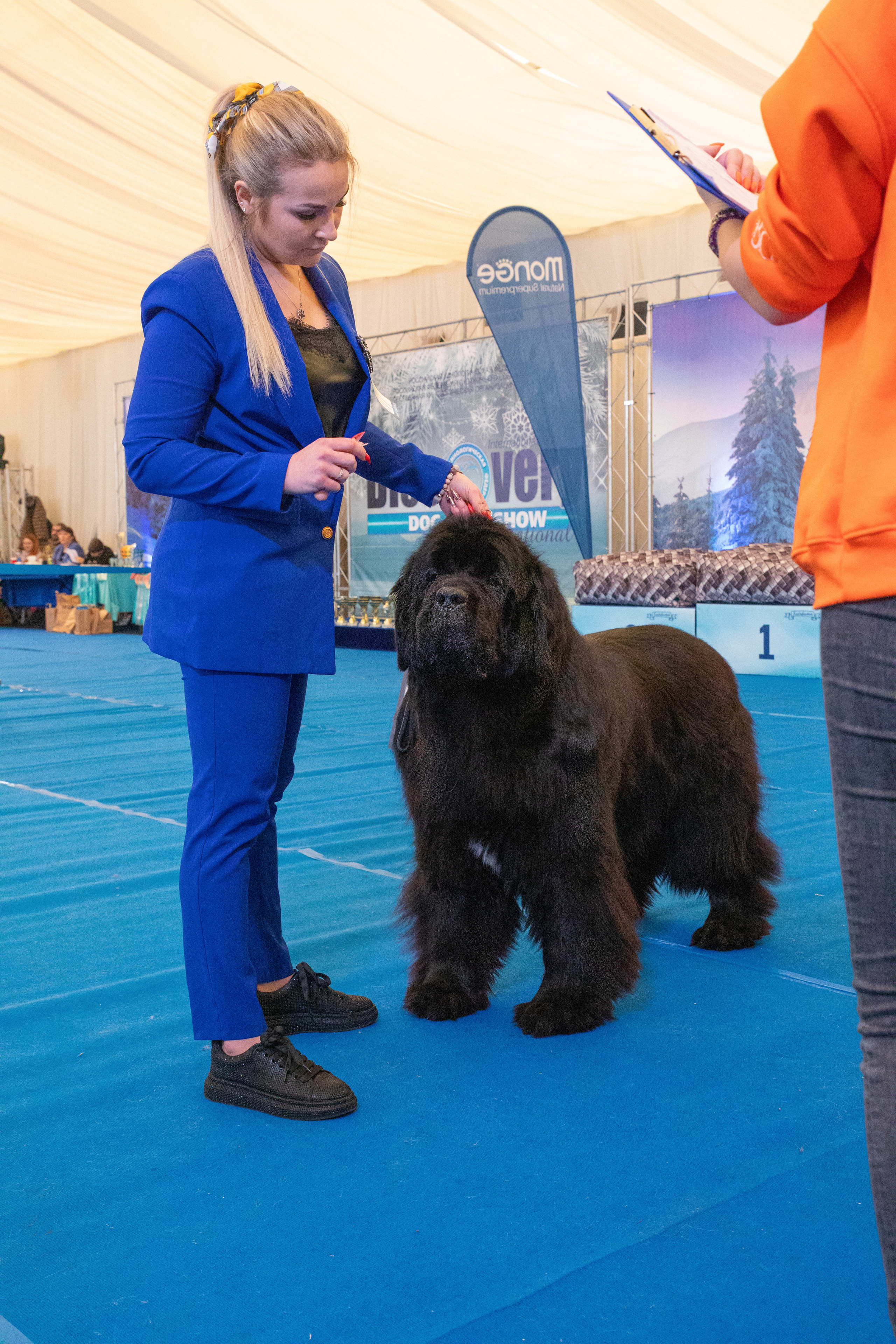 Друзья наши меньшие. Семейный и частный фотограф во Владивостоке