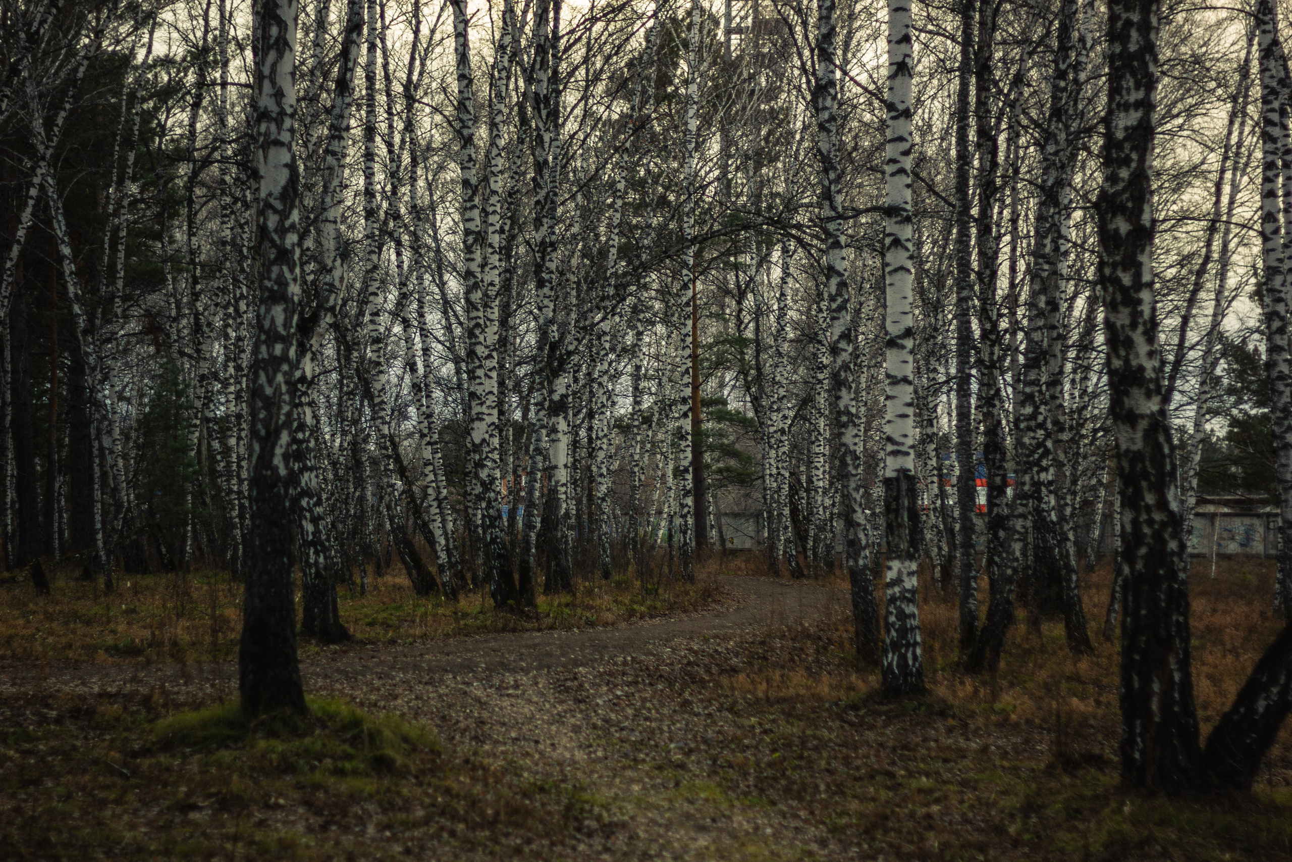 04.11.2024 | Сосновоборск. Kuznetsov | Фотограф в Красноярске