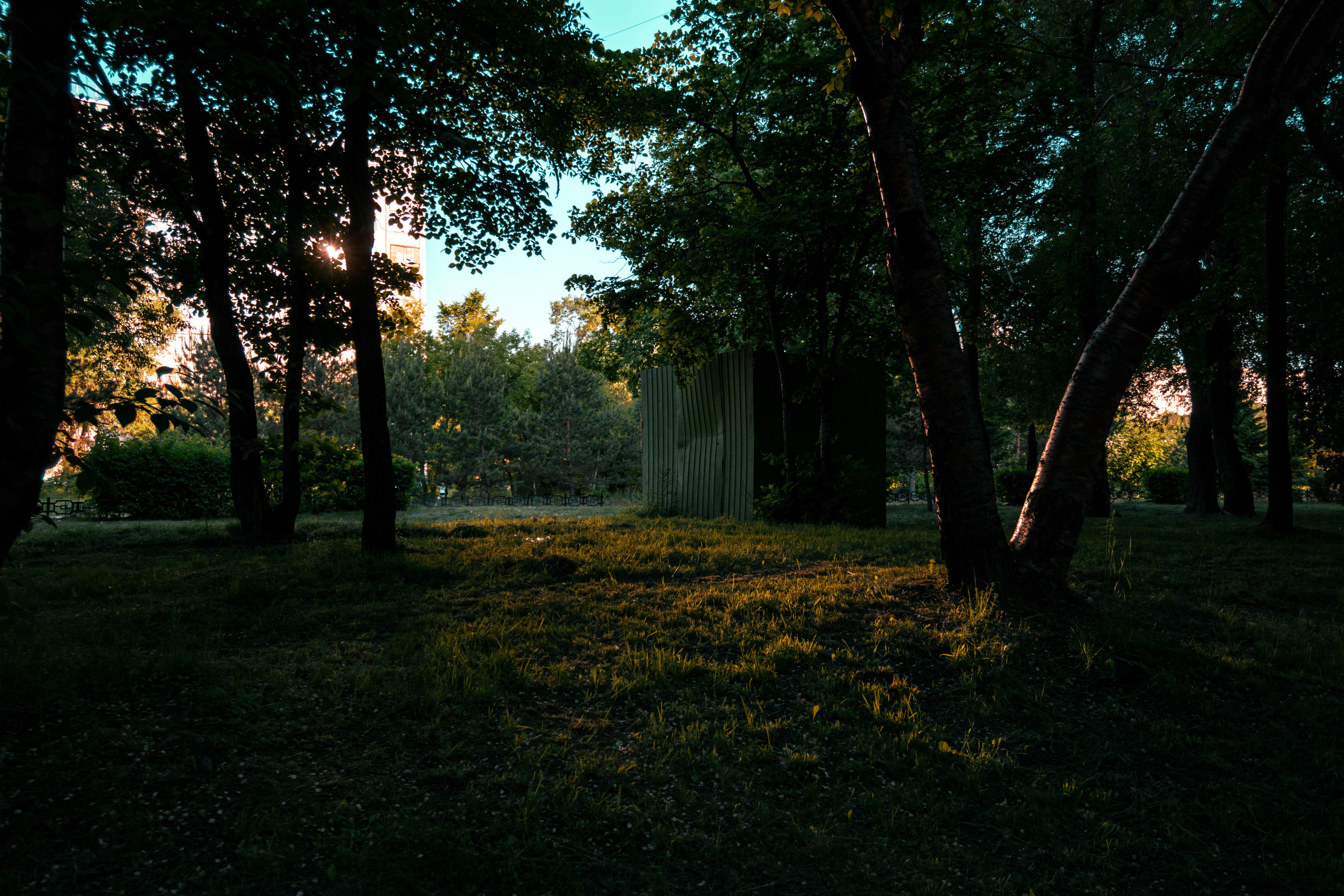 06.06.2025 | Сосновоборск. Kuznetsov | Фотограф в Красноярске