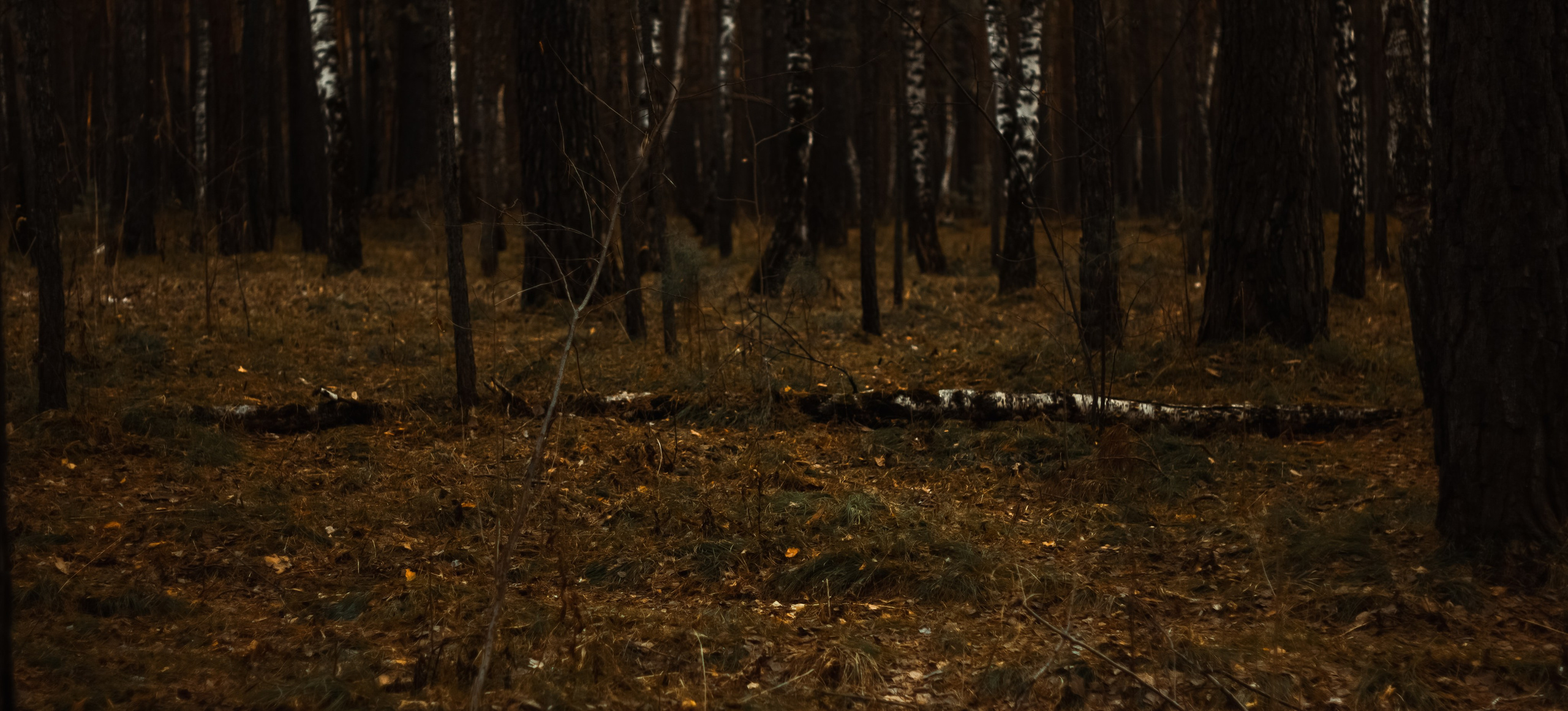 21.03.2025 | Сосновоборск. Kuznetsov | Фотограф в Красноярске