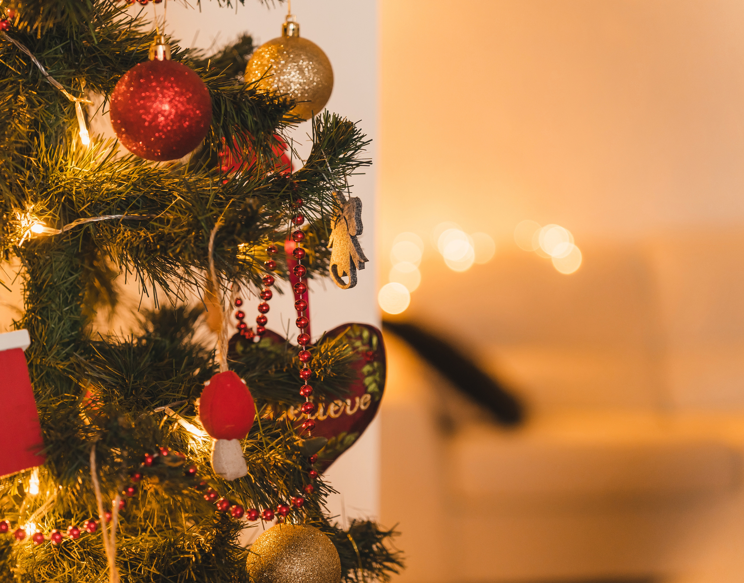 Домашняя_Алексей и Полина. Свадебный и семейный фотограф в Самаре Салахова Гулина