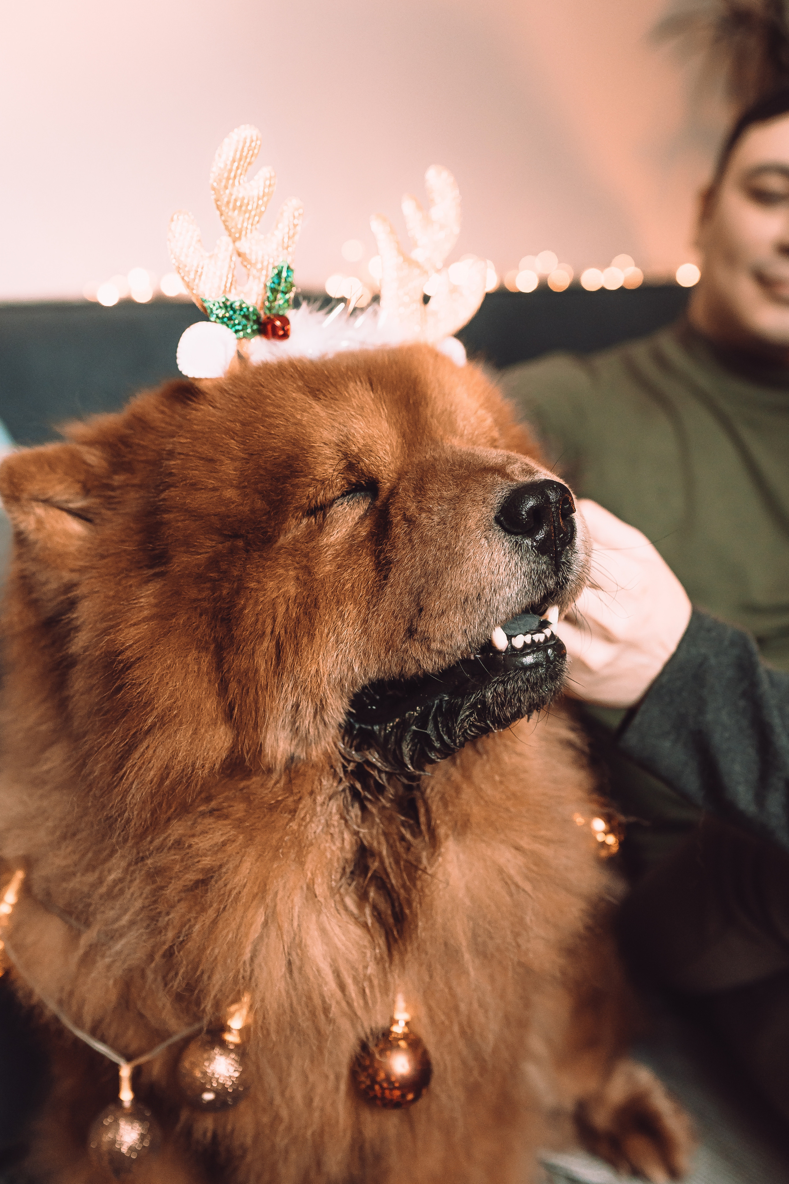 Ярослав и Ольга. Свадебный и семейный фотограф в Самаре Салахова Гулина