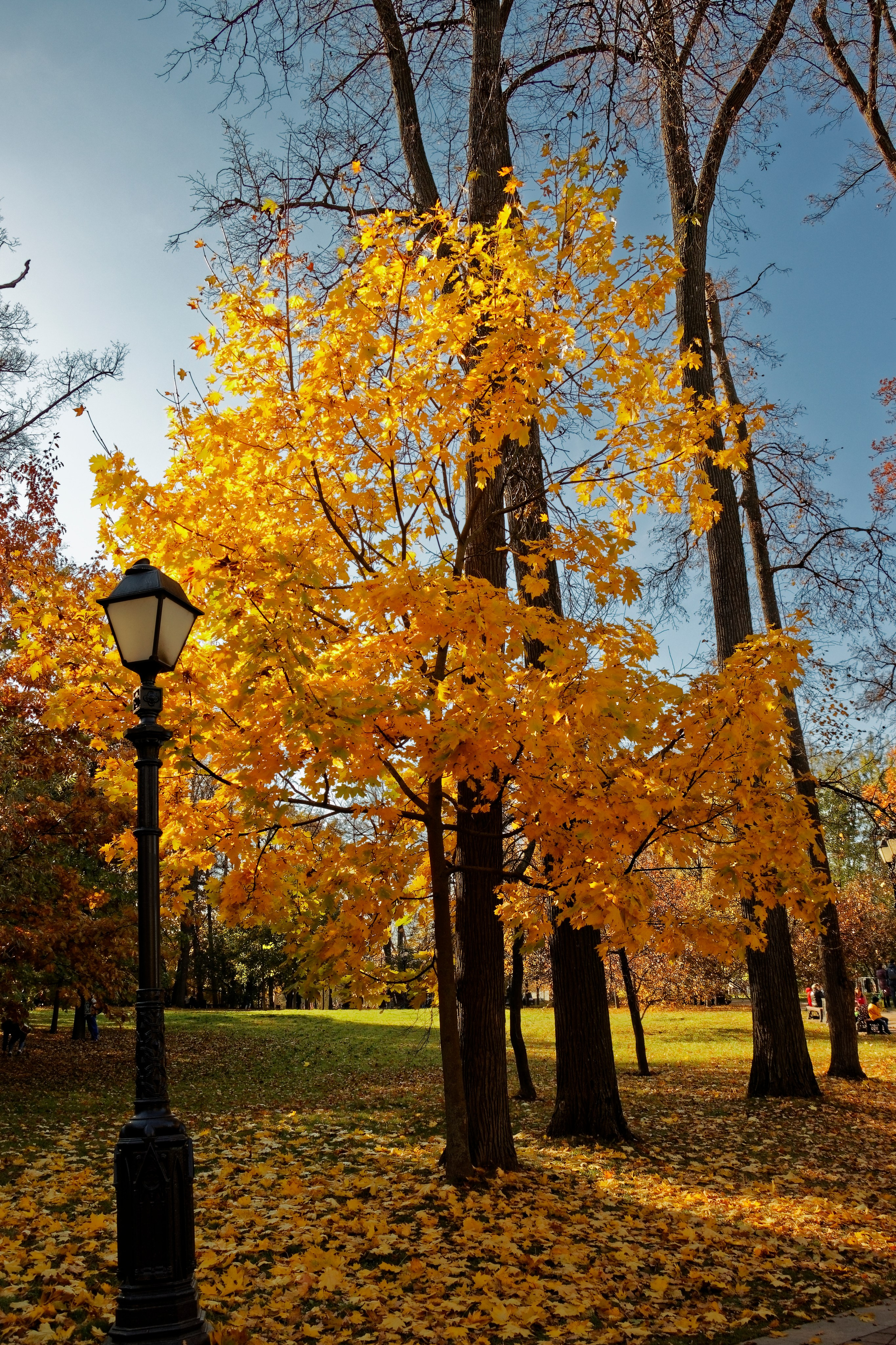 ЦАРИЦИНО. Фотограф Владимир Роля