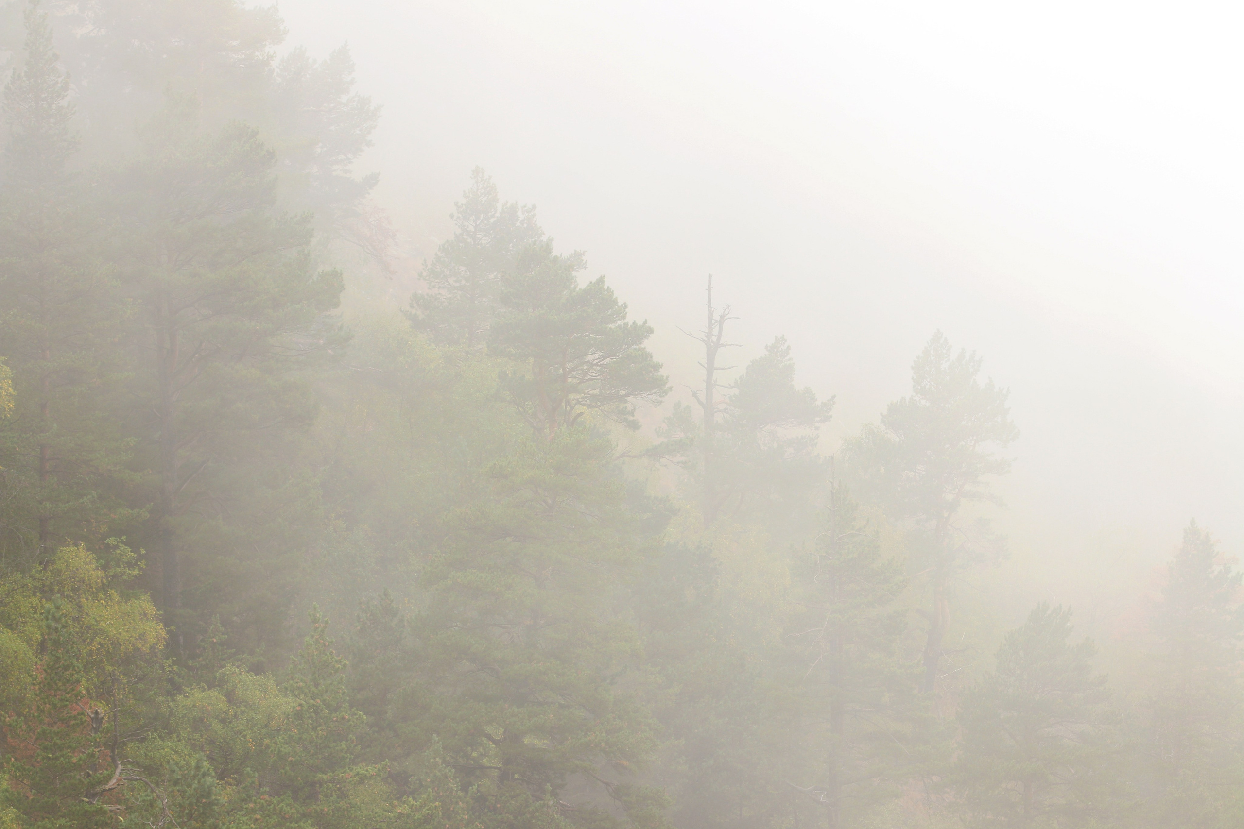 Приэльбрусье. Сентябрь 2024. Путешественник-фотограф из Санкт-Петербурга Татьяна Свистулина