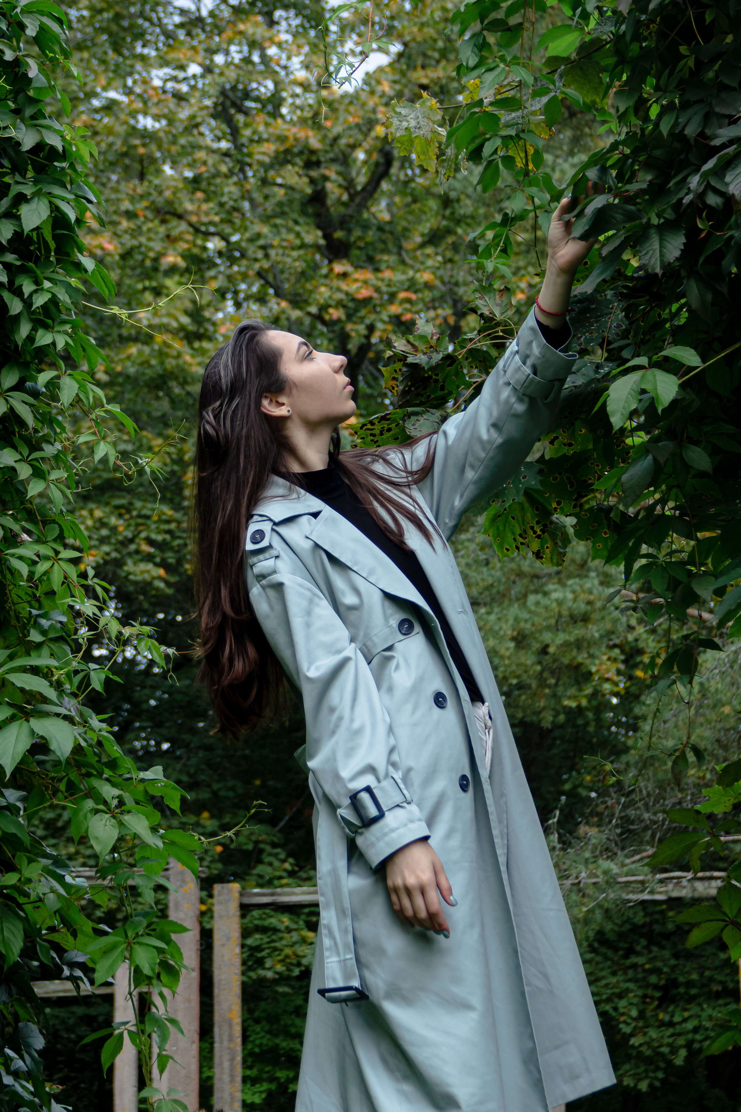 Ghost of the Sphynx. Фотограф Ася Волчик