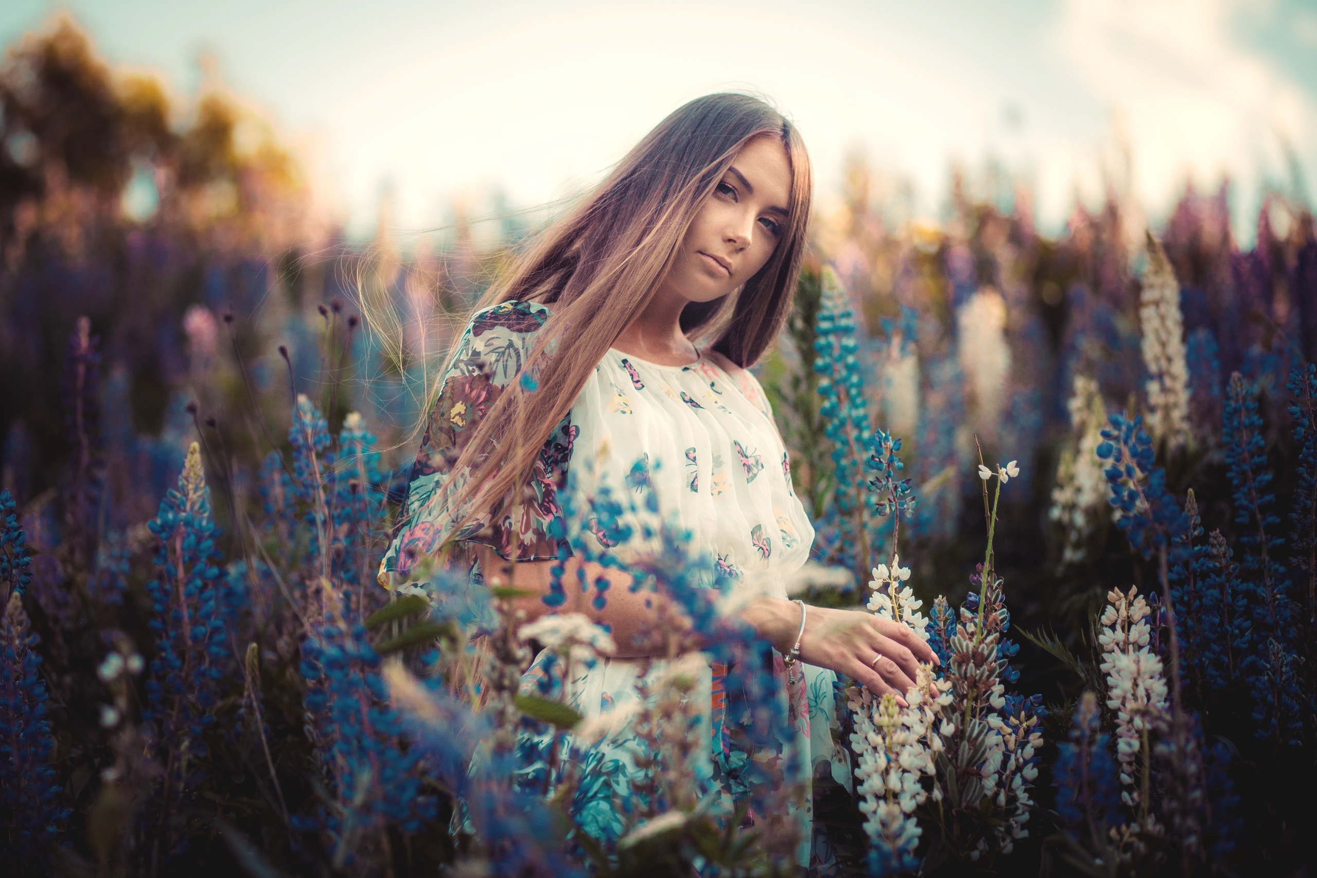 Юля — Люпины. Фотограф Михаил Коган — Москва 89267284460