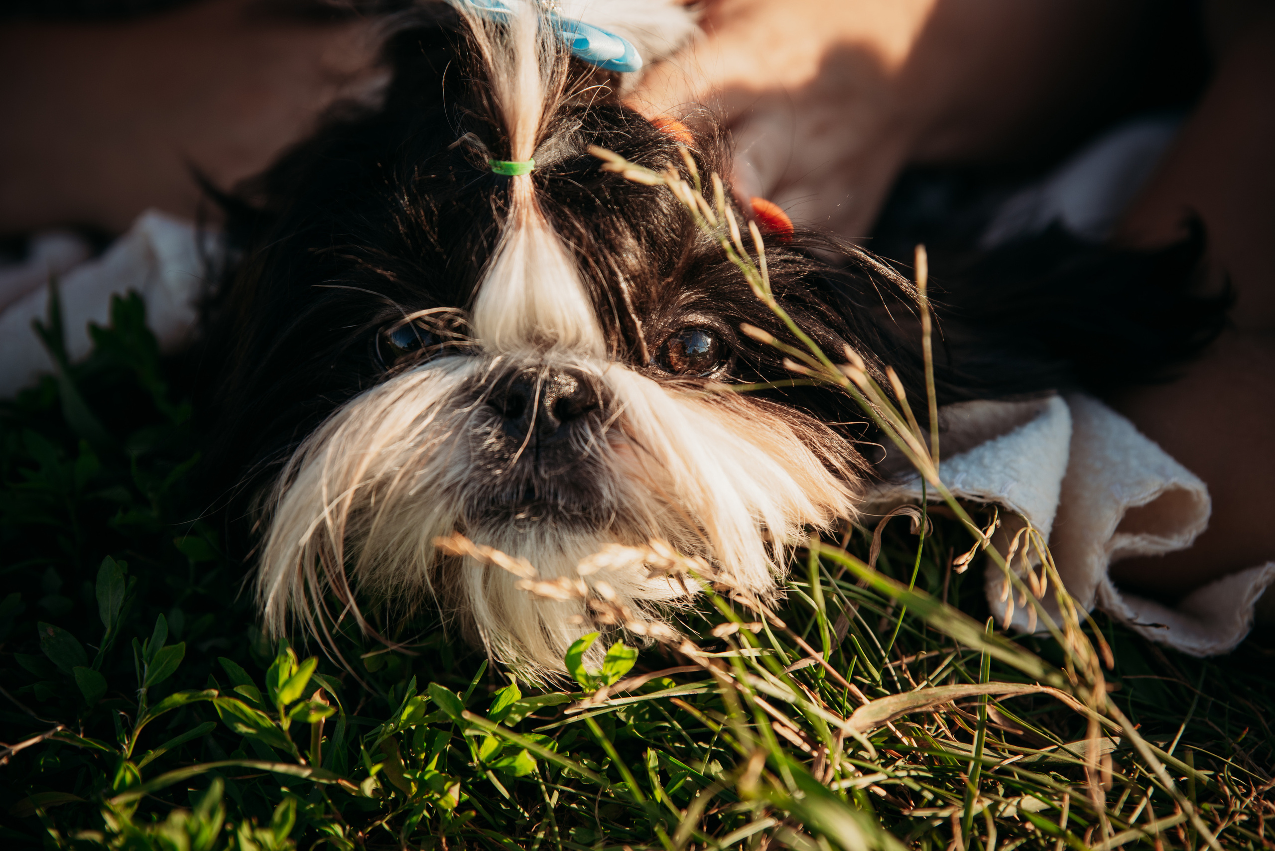Семейные фотопрогулки. Семейный фотограф Олеся Батурина Рязань