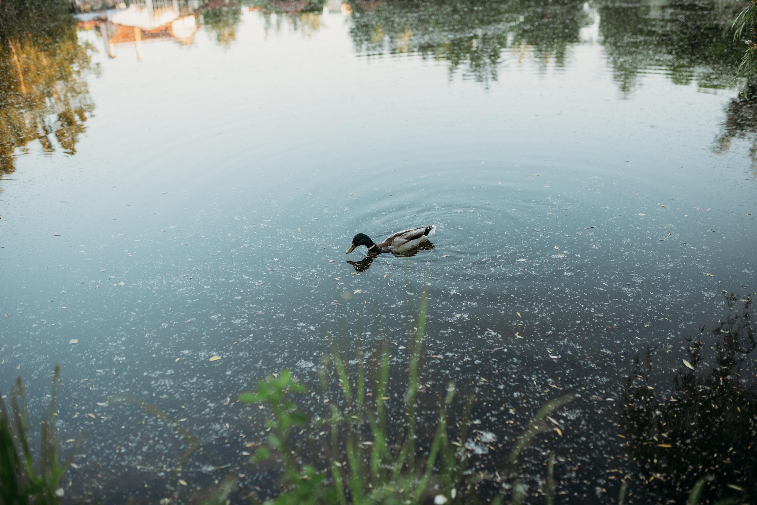 Семейные фотопрогулки. Семейный фотограф Олеся Батурина Рязань