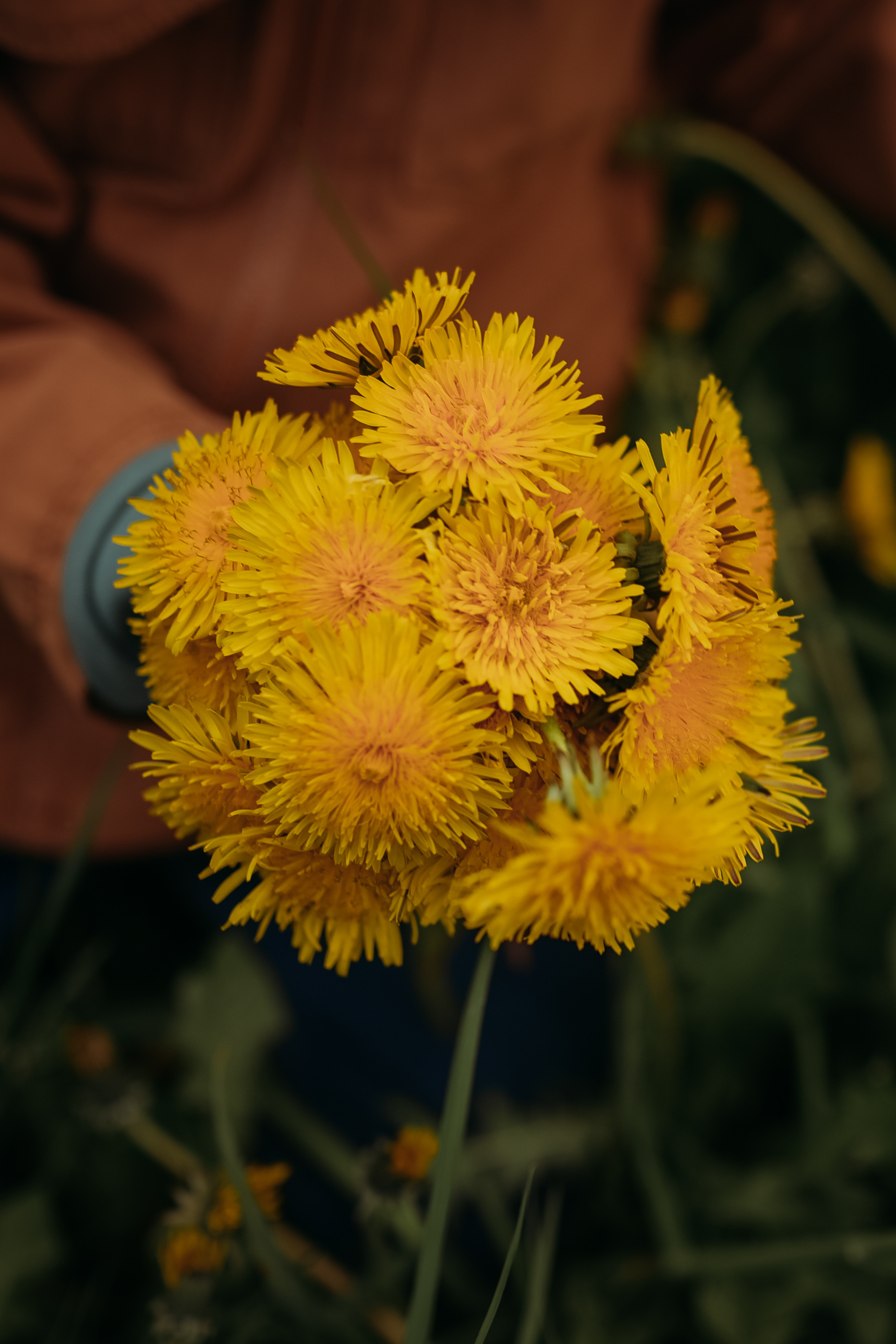 Семейные фотопрогулки. Семейный фотограф Олеся Батурина Рязань