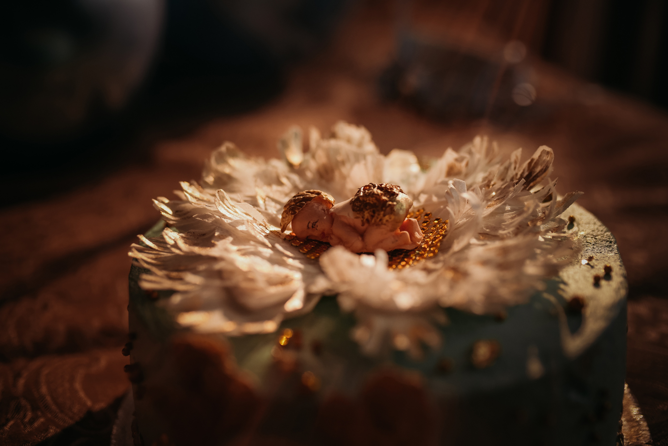 Выписка 2 роддом. Семейный фотограф Олеся Батурина Рязань