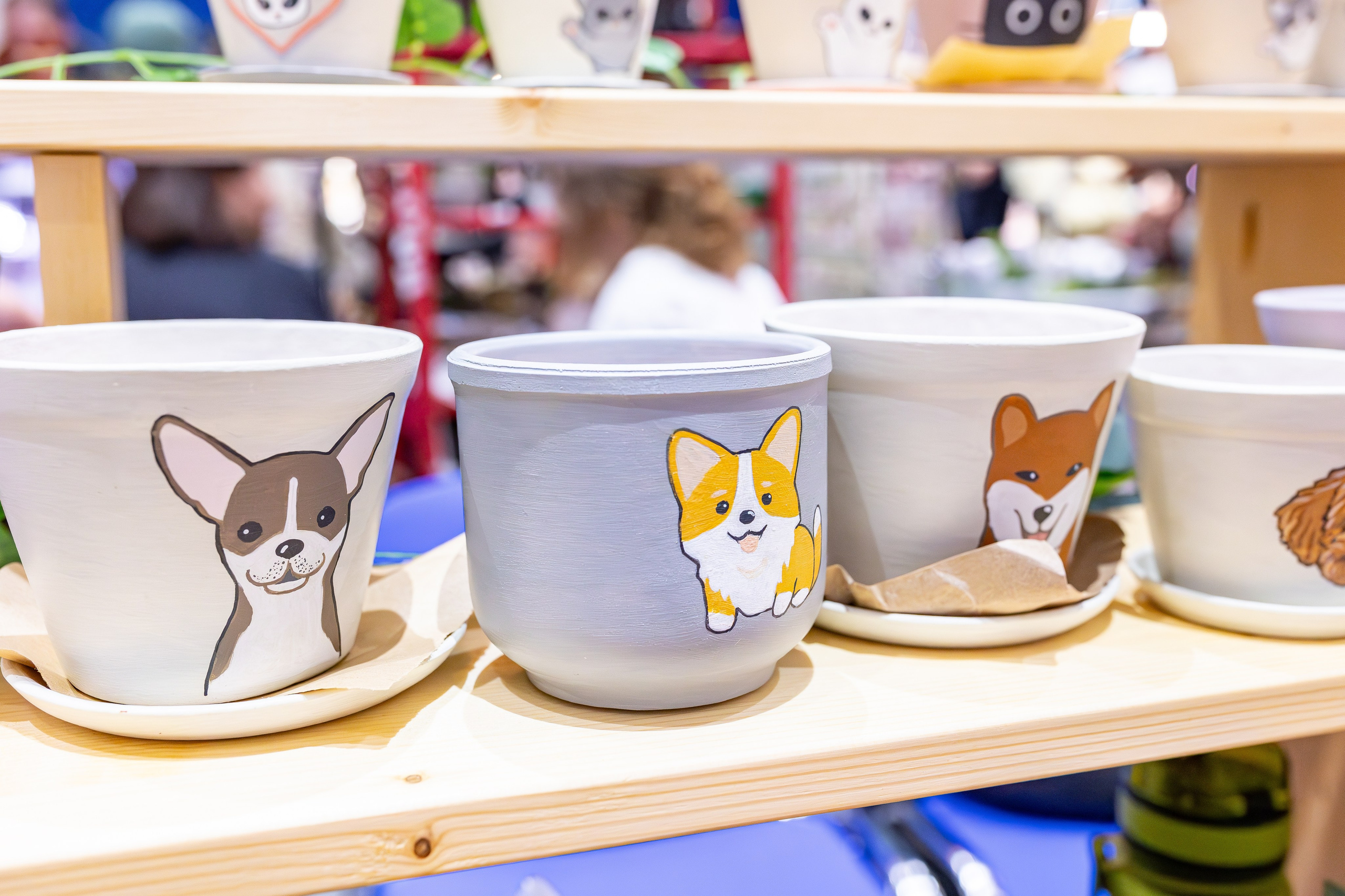 Монстериум апрель 2026. Александра Куликова фотограф, Москва