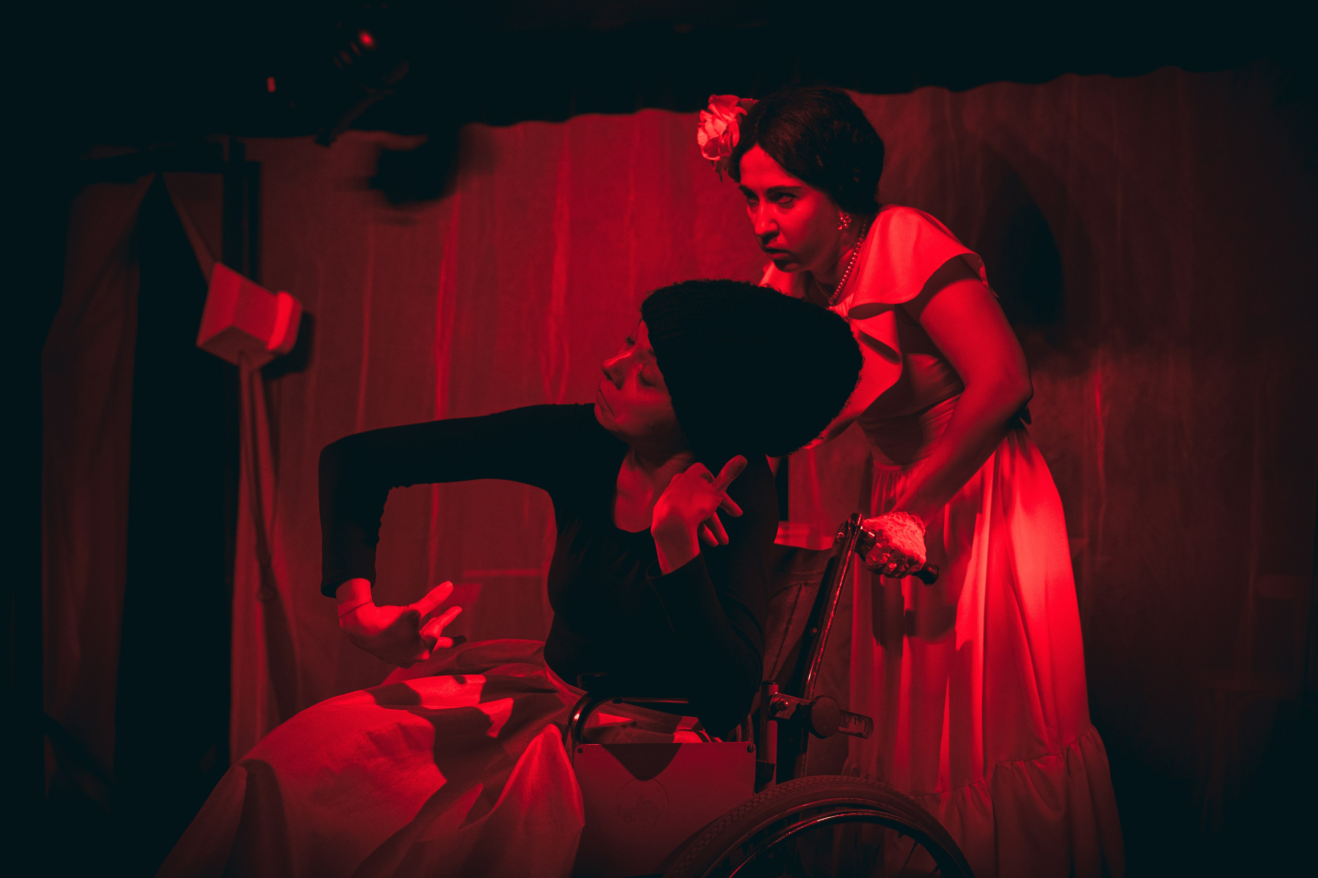 Стеклянный зверинец. Фотограф и оператор в Москве Елизавета Коргалидзе