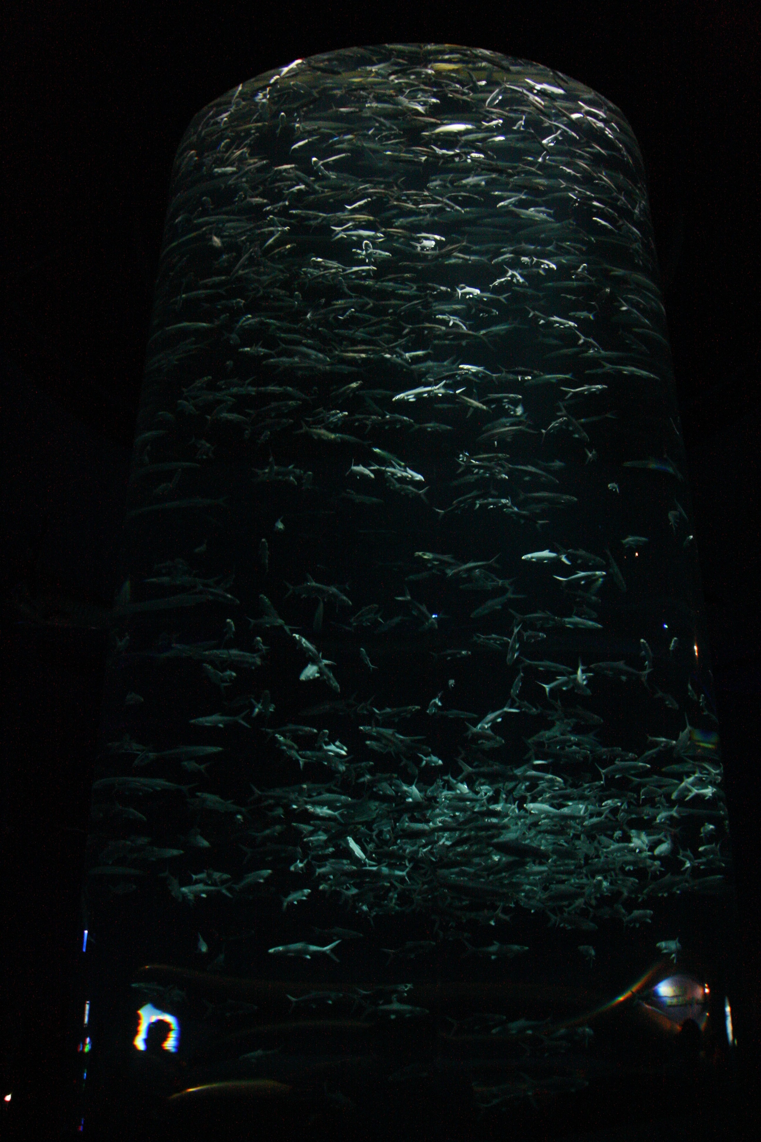 Гонконг. Фотограф Алексей Федорищев