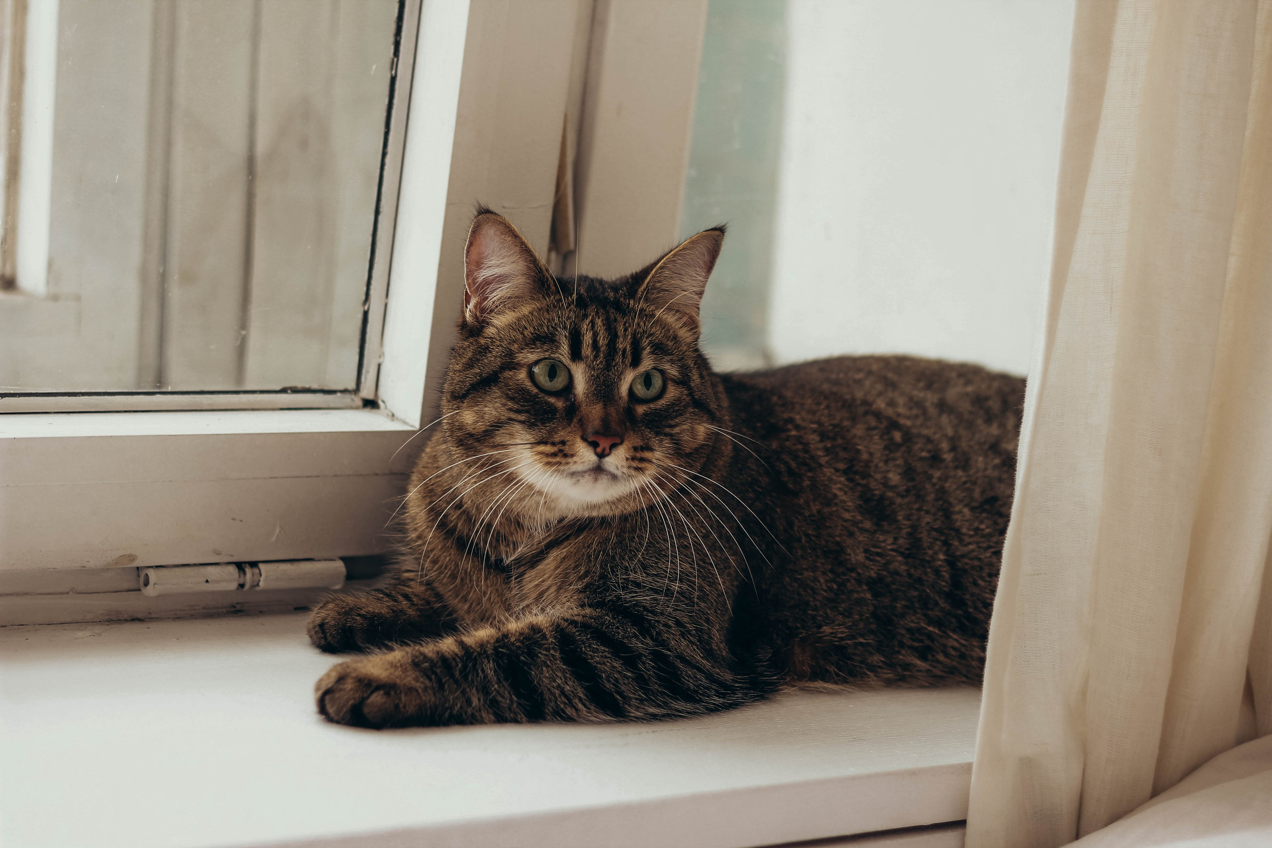 Семья Костиных. Hmliber — фотограф и контент-креатор из Петербурга