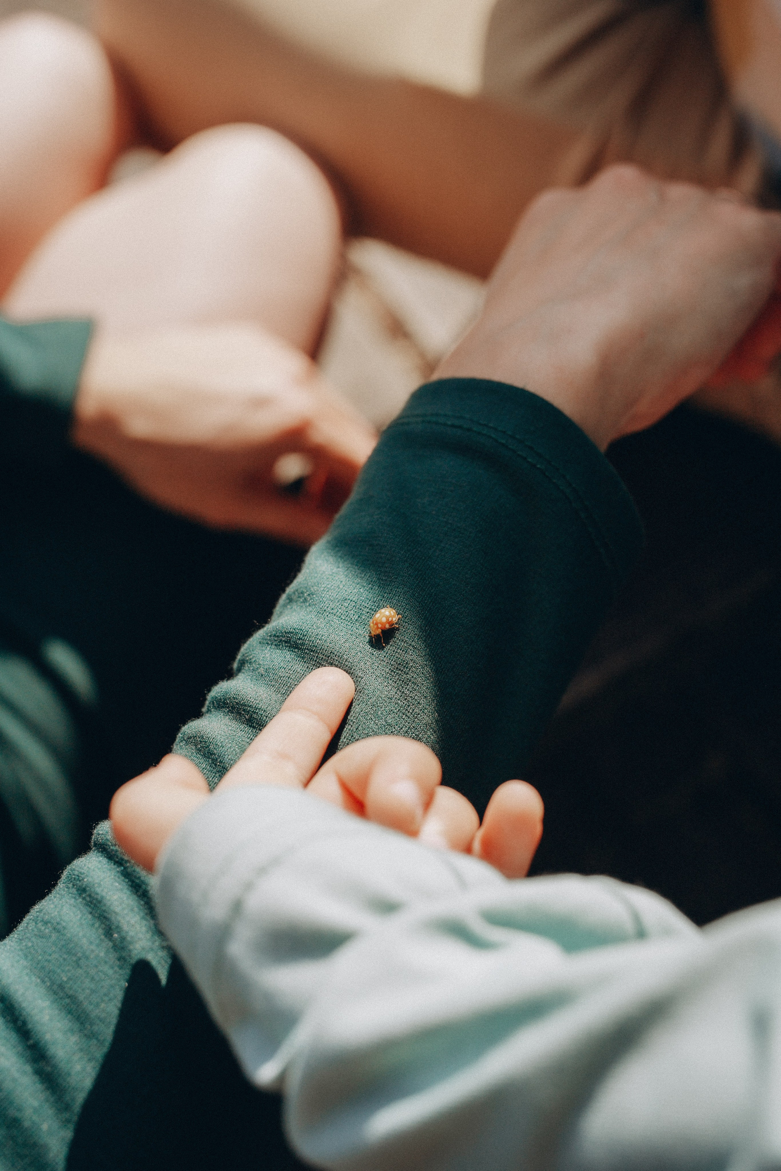 Елена и семья. Фотограф Анастасия Петрова