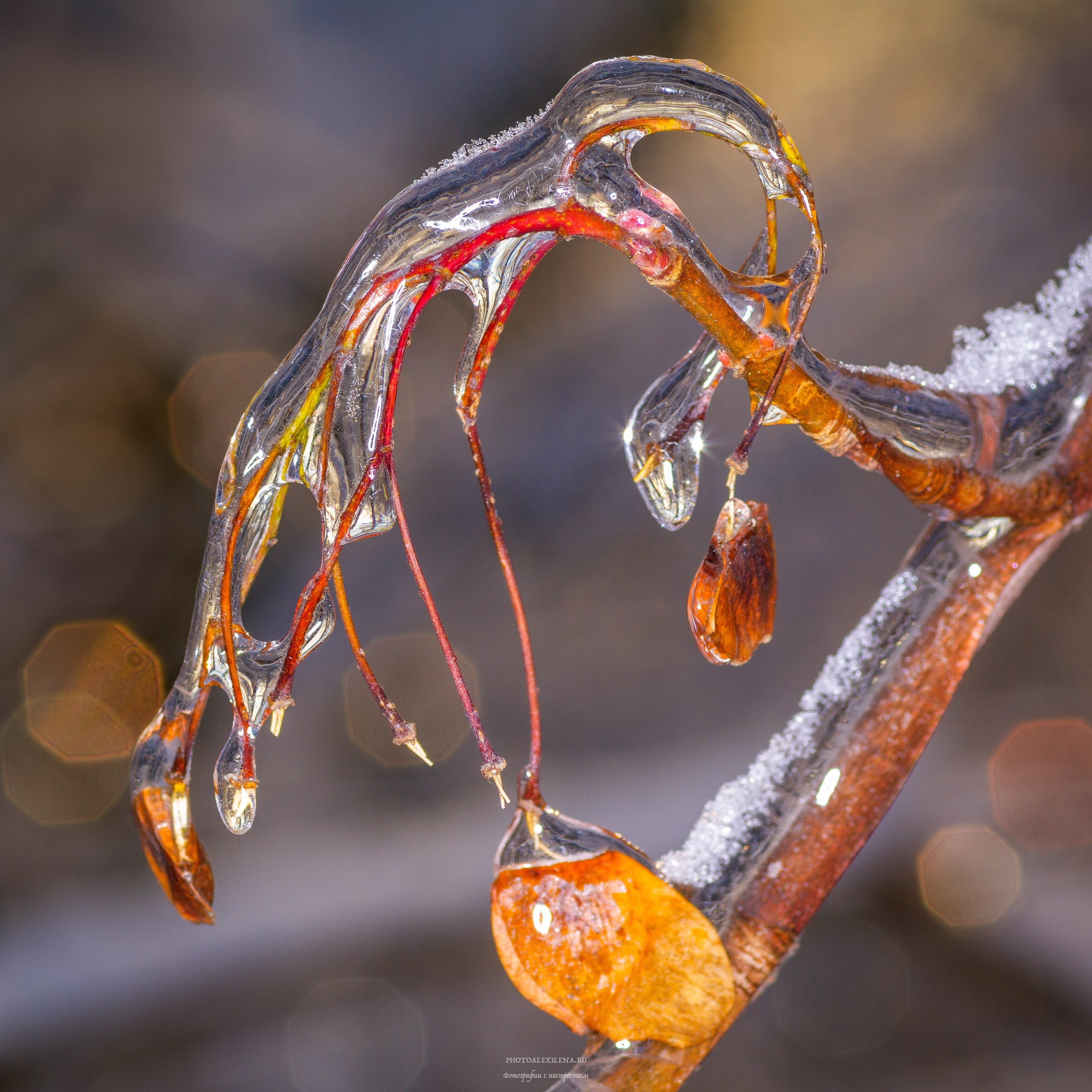 Осязаемая красота. Авторские стильные фотокартины