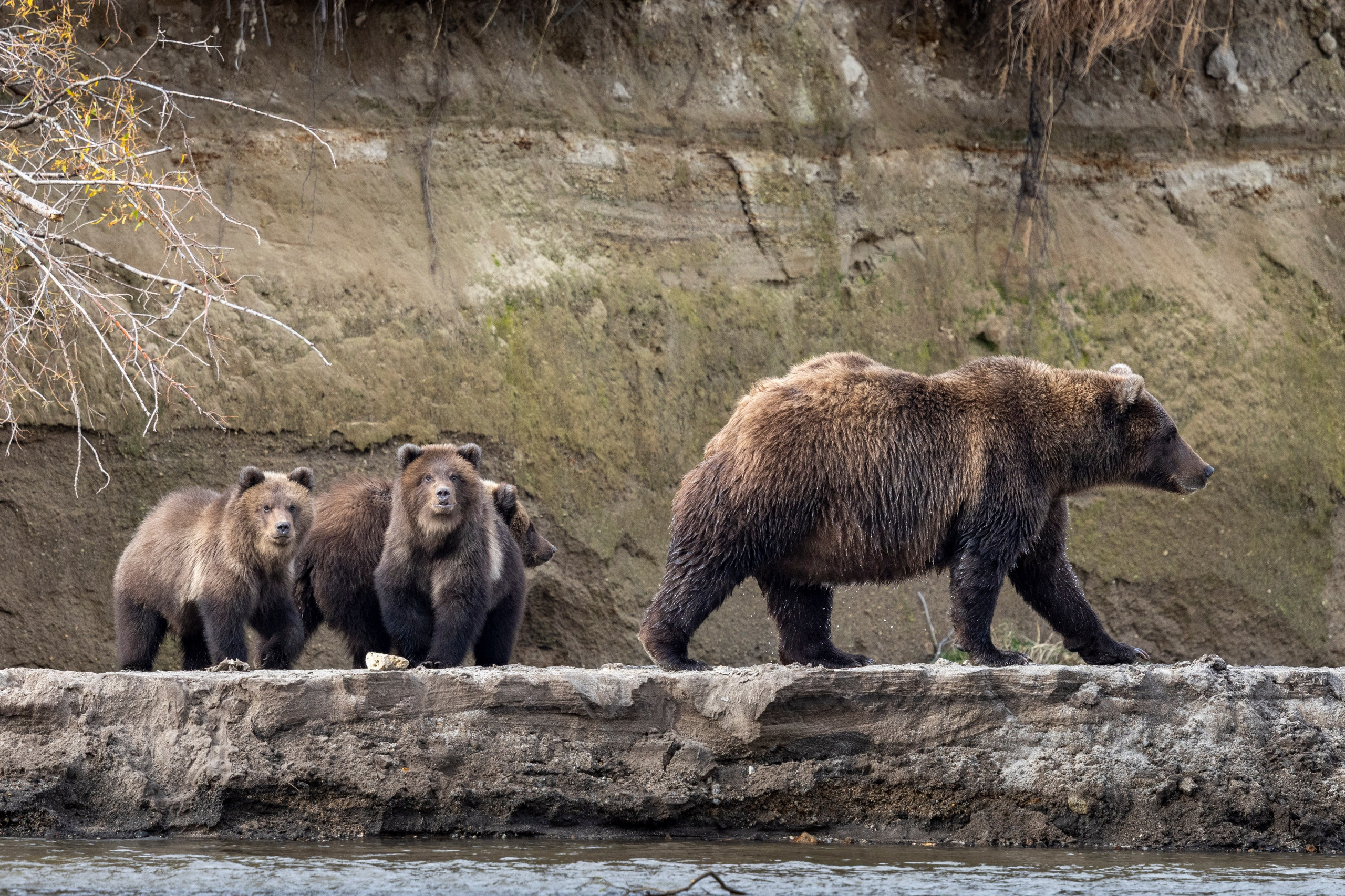 Курильское озеро — шестидневный тур в сердце дикой Камчатки. Время Камчатки: чтобы найти свой путь, нужно скорость умножить на время