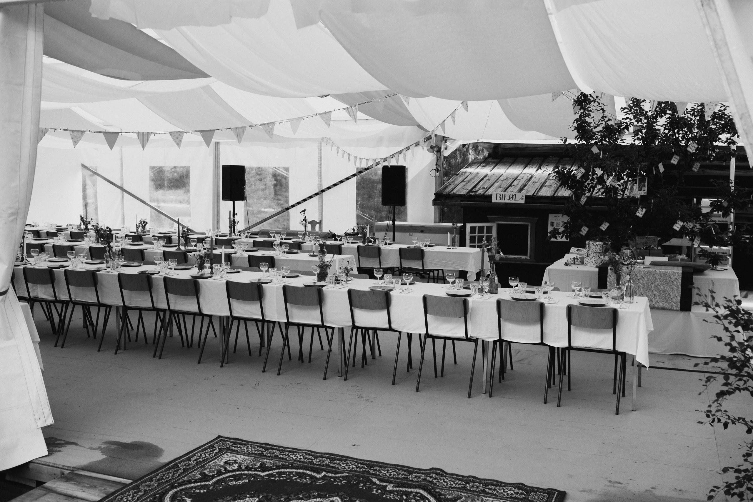 Vilje — Amalie. Elopement Wedding Photographer