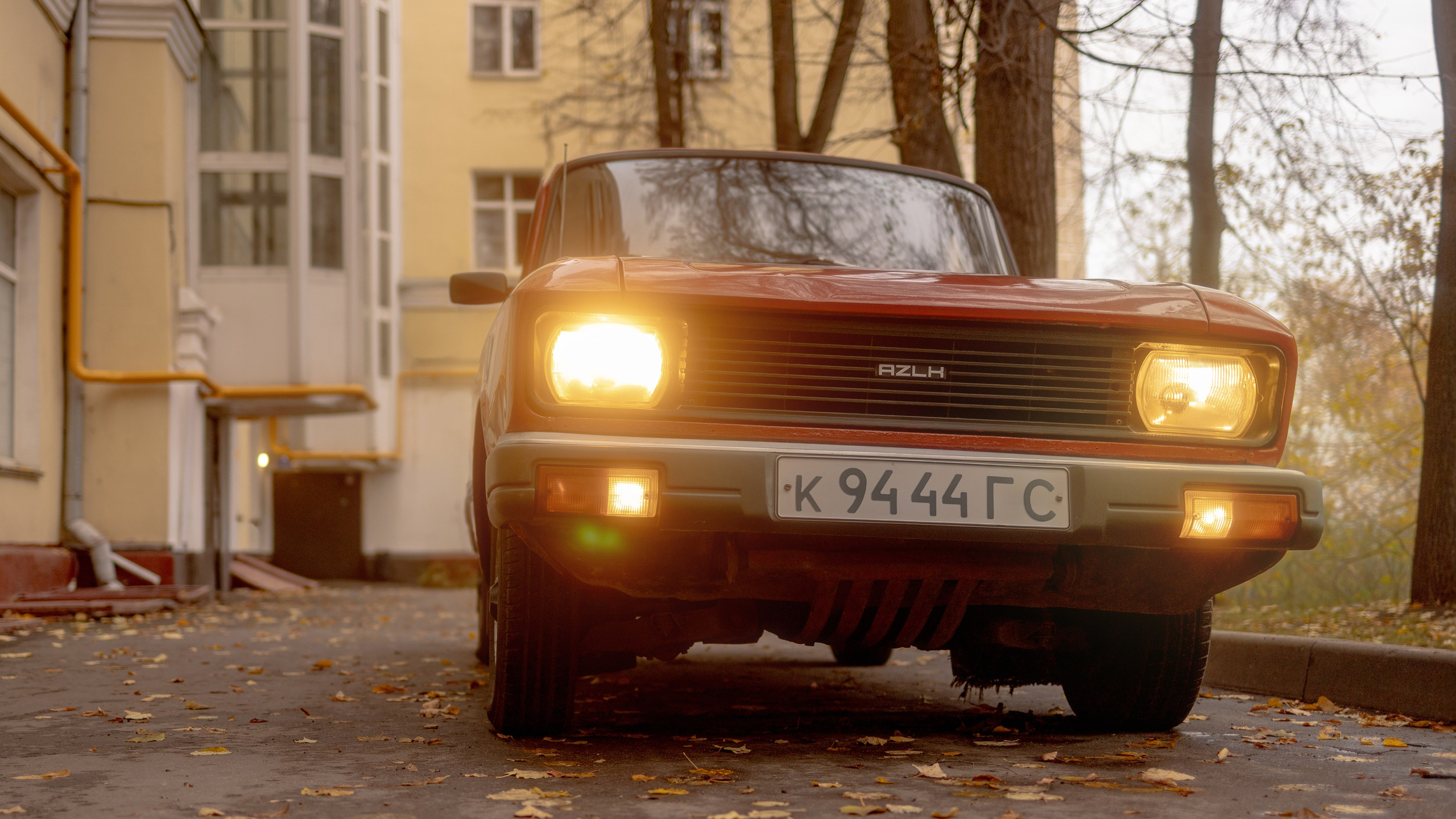 История про оранжевую удачу. Семейный и детский фотограф Рядчикова Екатерина Москва