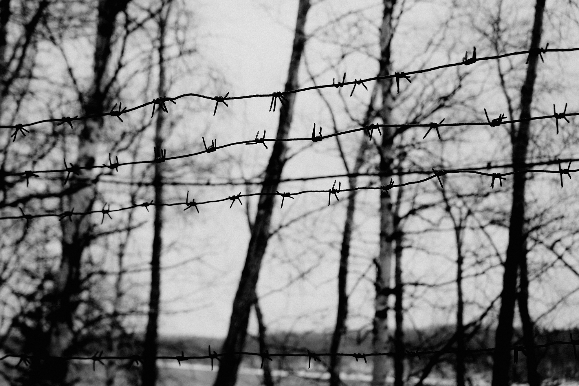 № 1. WAYHAY — Портретный фотограф