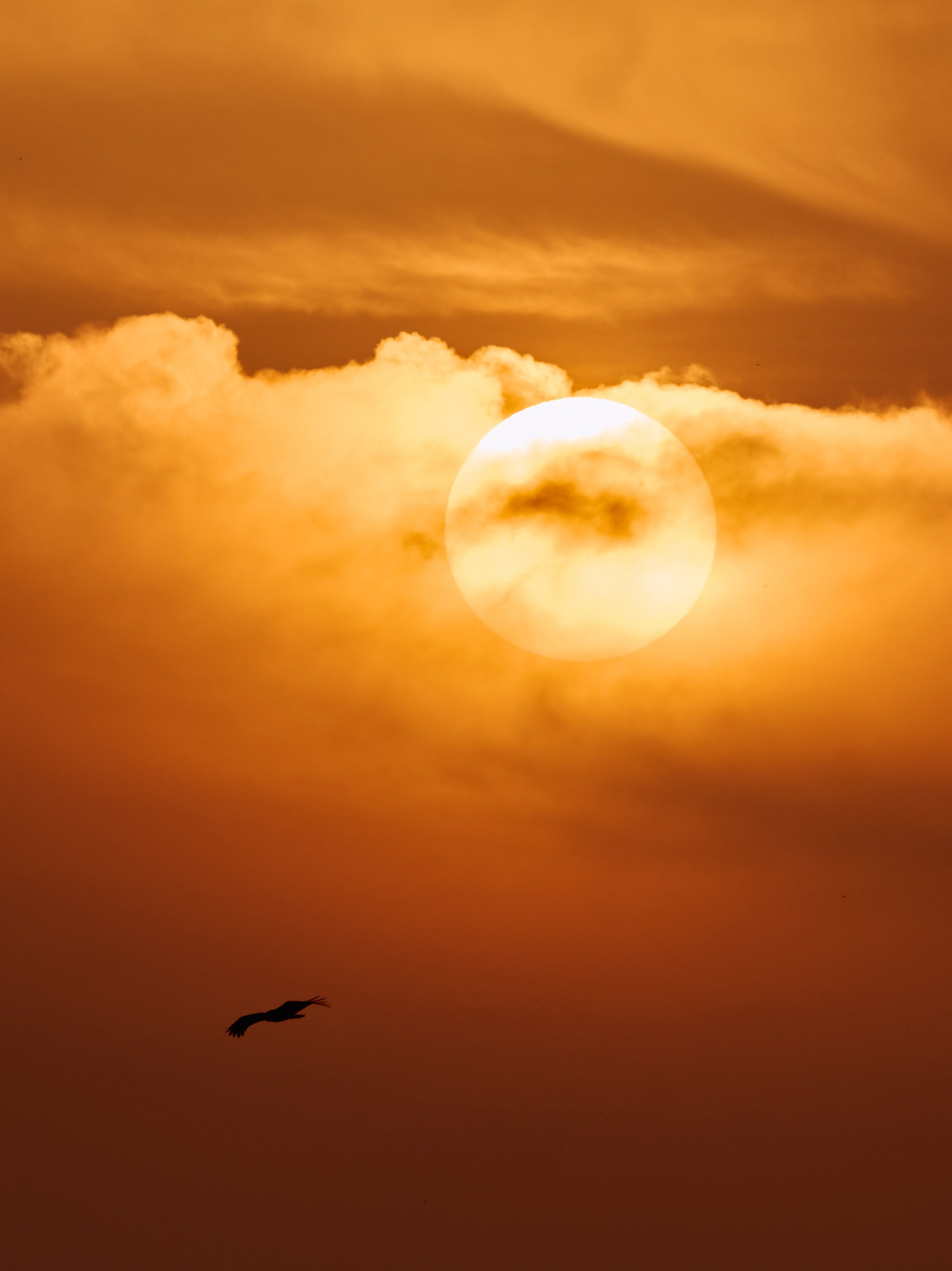 Guinea-Bissau. See the moment and catche. commercial and reportage