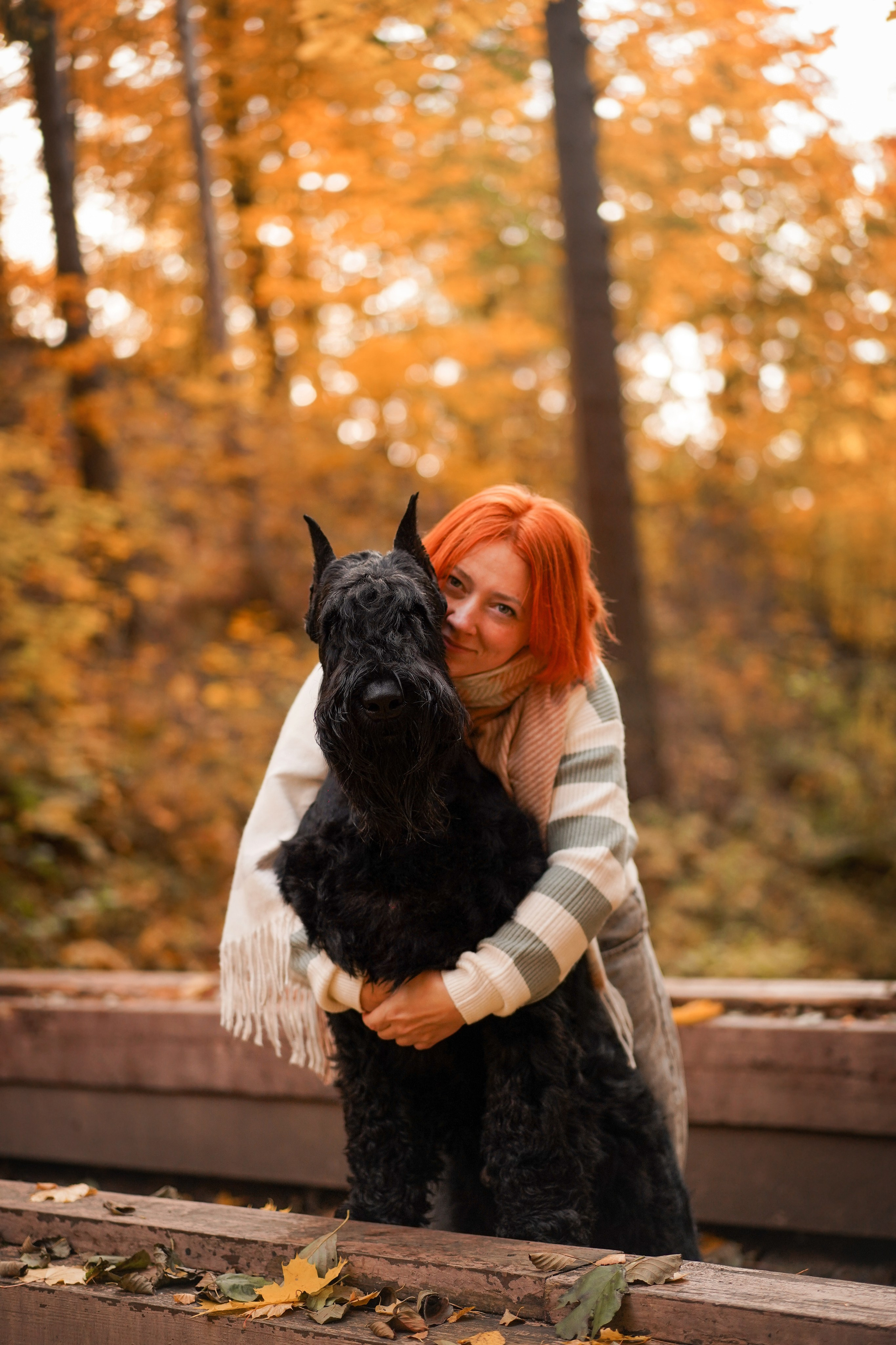 Оля Миша и шнауцеры. Фотограф-анималист в Санкт-Петербурге Яна Мартынова