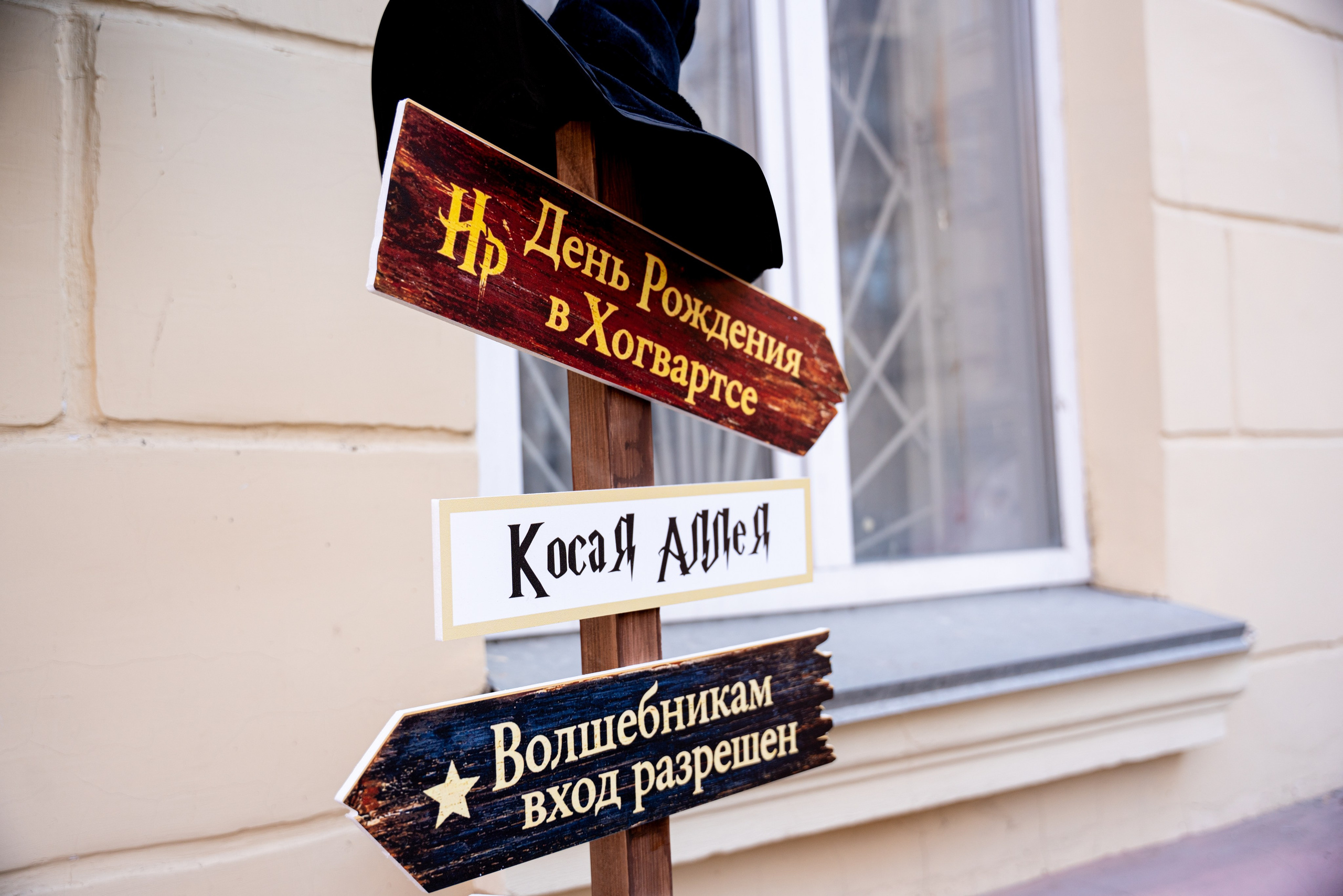 ДР МАШИ. Фотограф на любое мероприятие