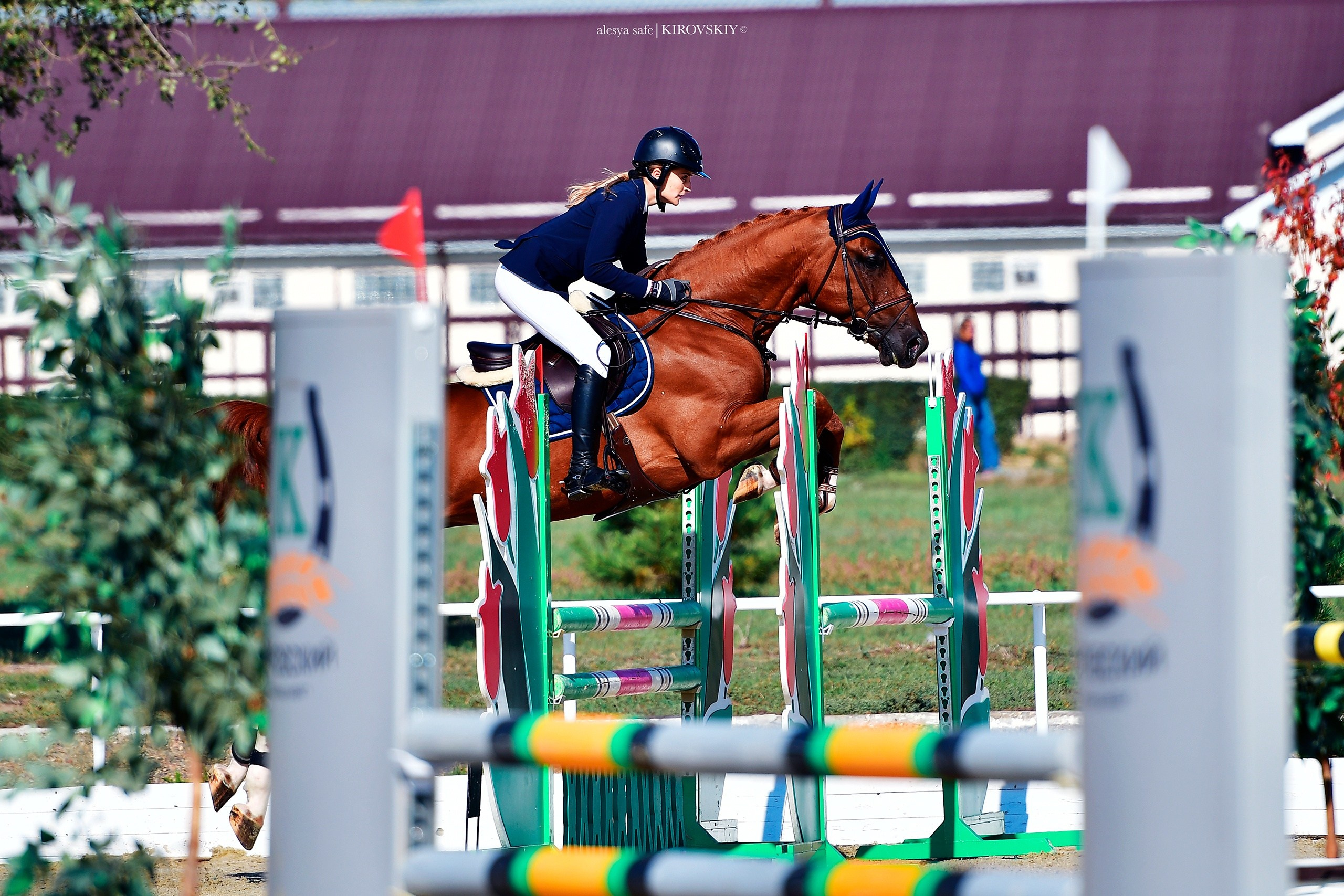 Кировский конный завод. Конный фотограф Alesya Safe