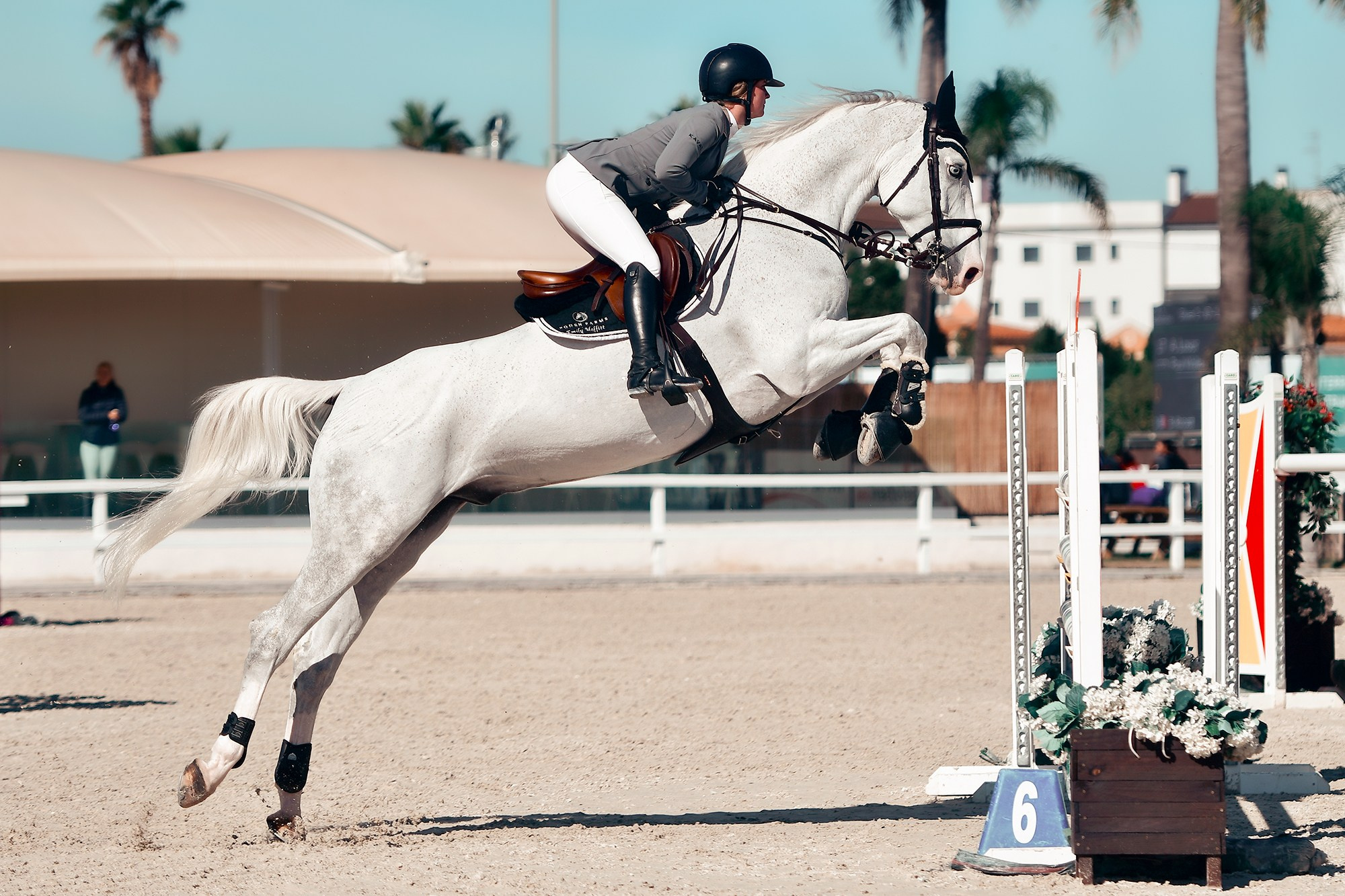 Конкур. Конный фотограф Alesya Safe