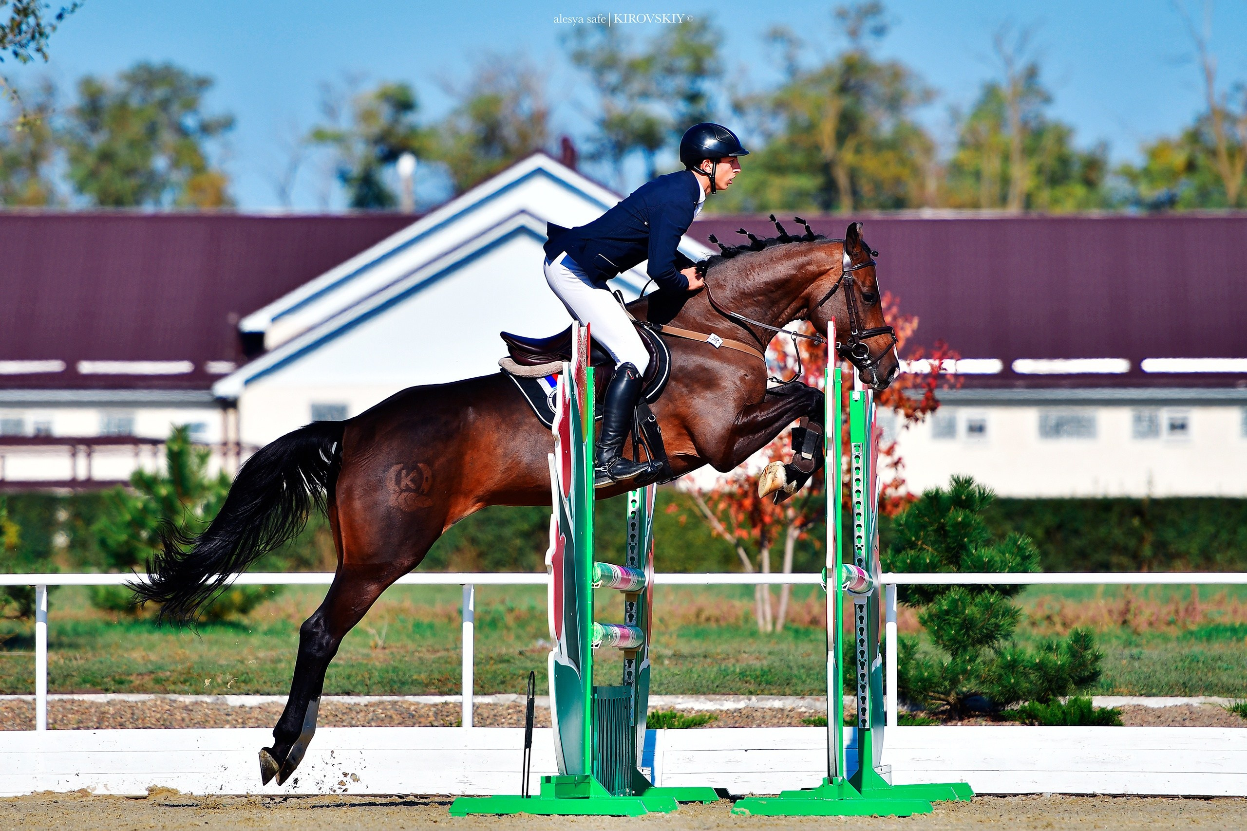 Кировский конный завод. Конный фотограф Alesya Safe