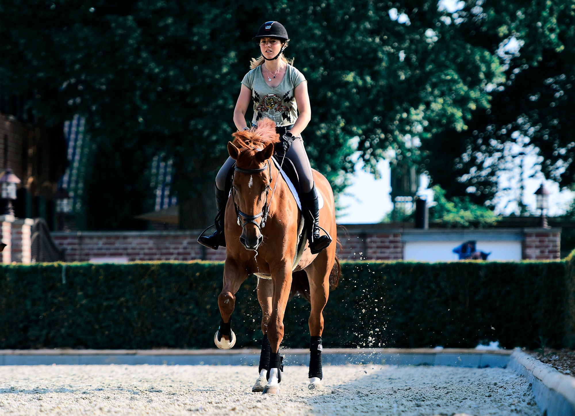 Конные клубы. Конный фотограф Alesya Safe