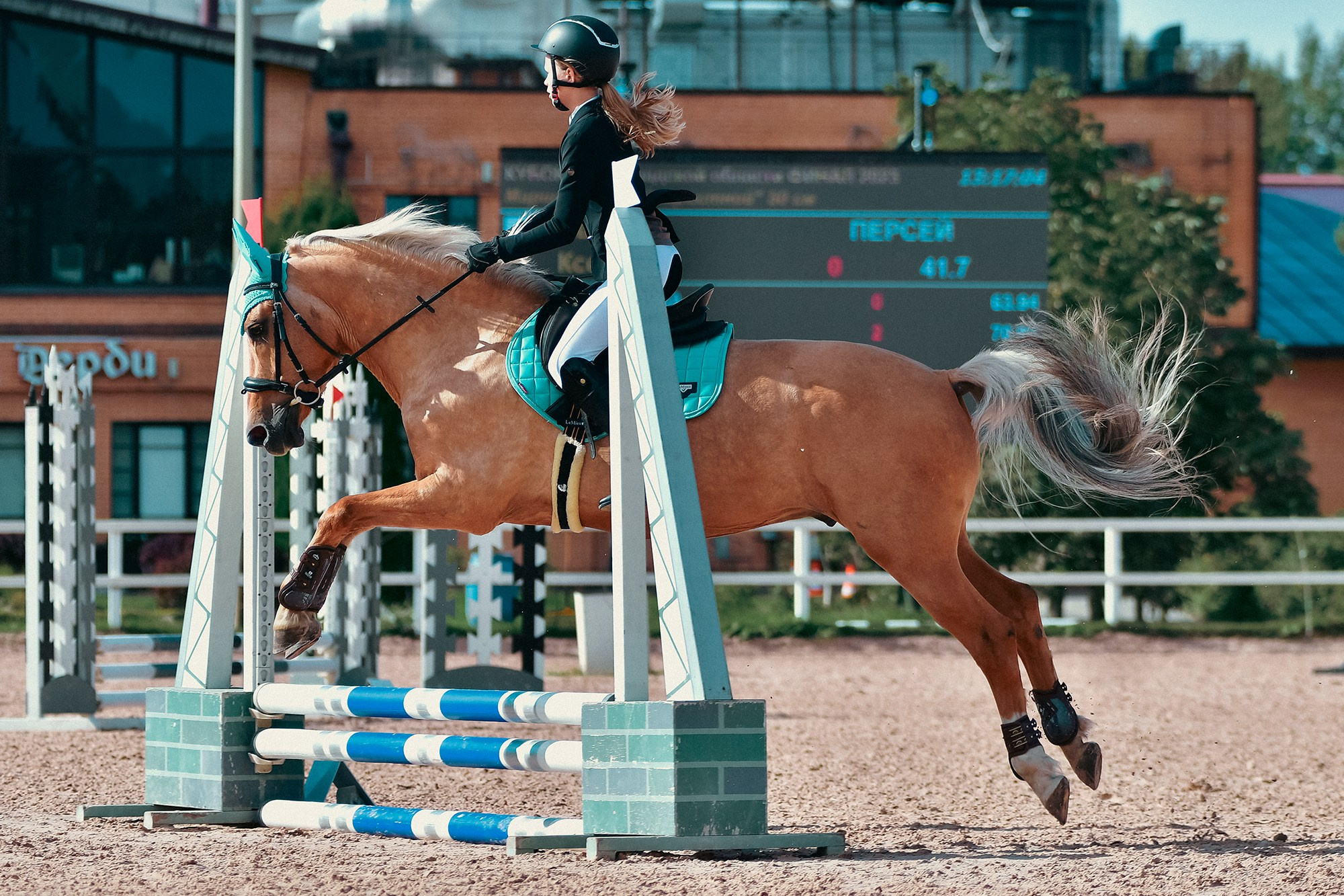 Конкур. Конный фотограф Alesya Safe