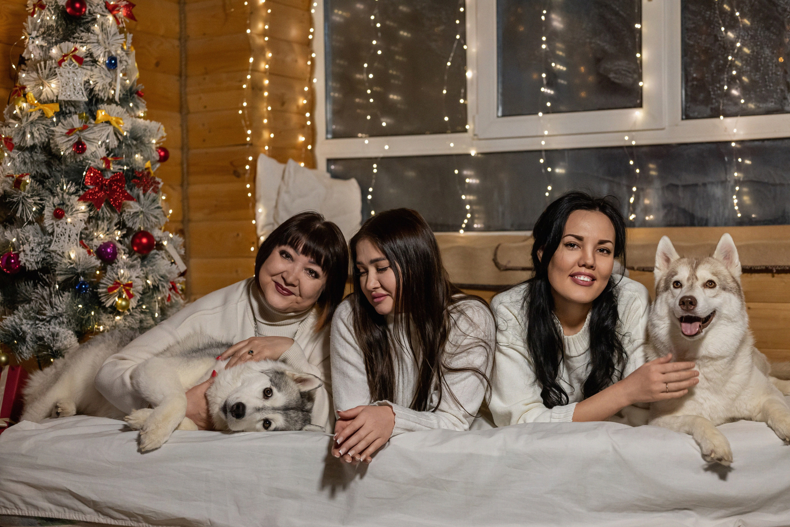 Фотопроект с хаски 2025 г. Фотограф в городе Салават