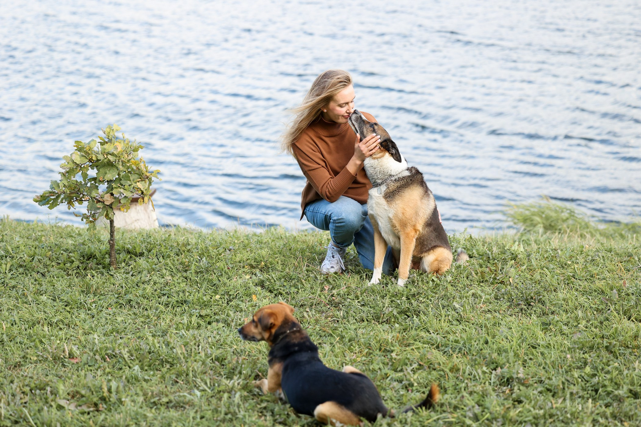 Прогулка на природе. Фотограф-анималист Полина Колкова | Москва