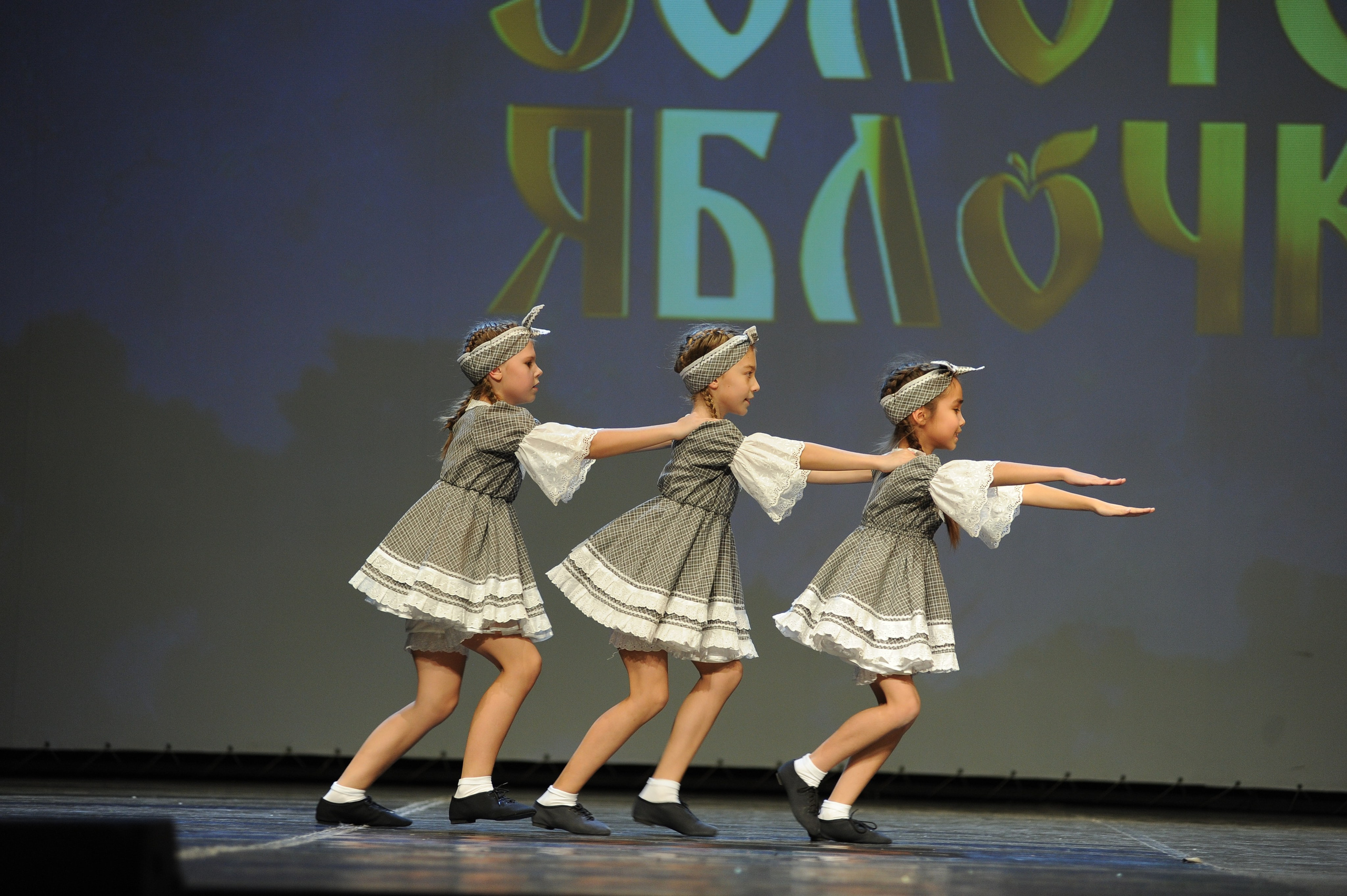 16 ноября, г. Красноярск. Золотое яблочко