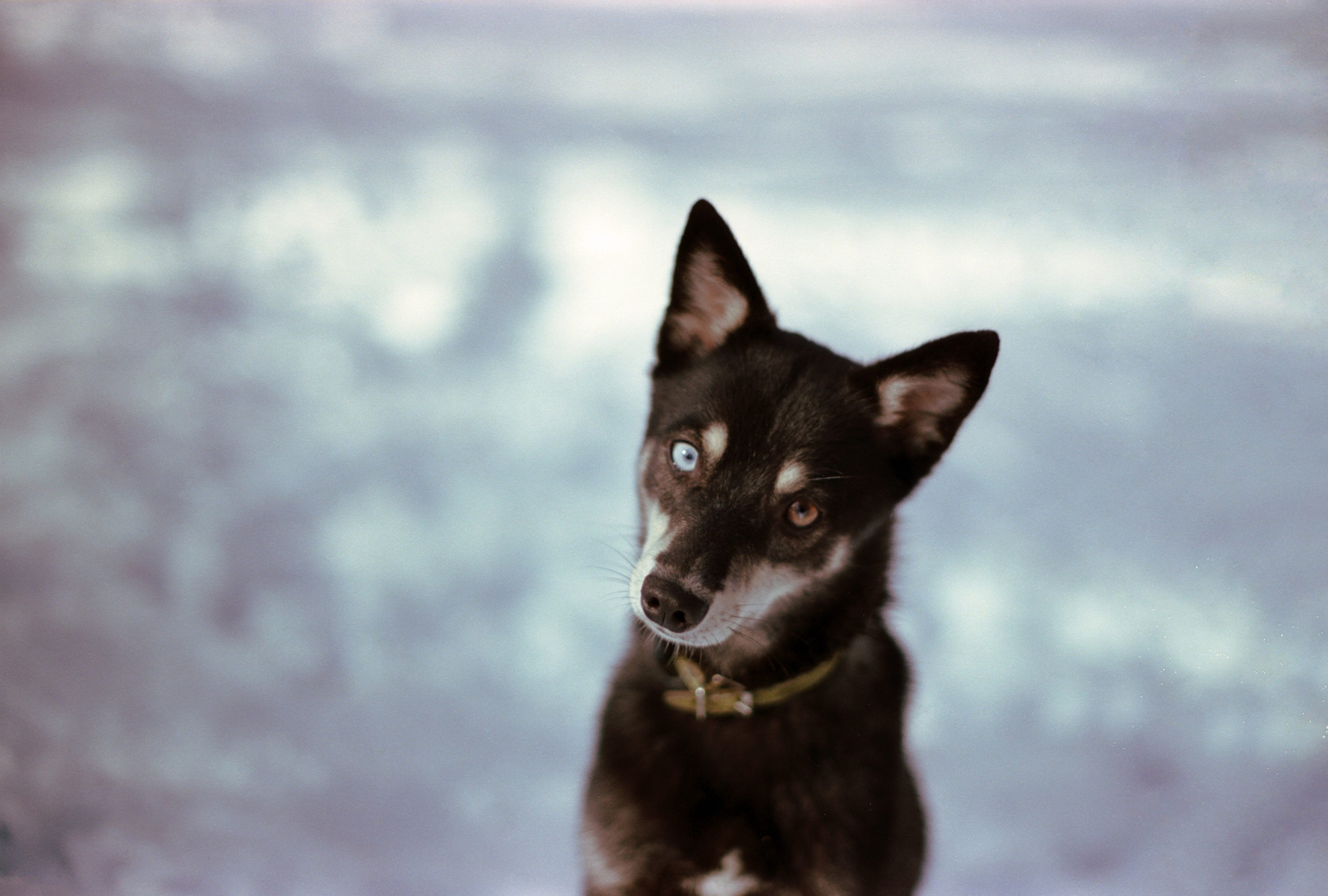 W. Стилист и плёночный фотограф Анастасия Шлокова в Санкт-Петербурге и Москве