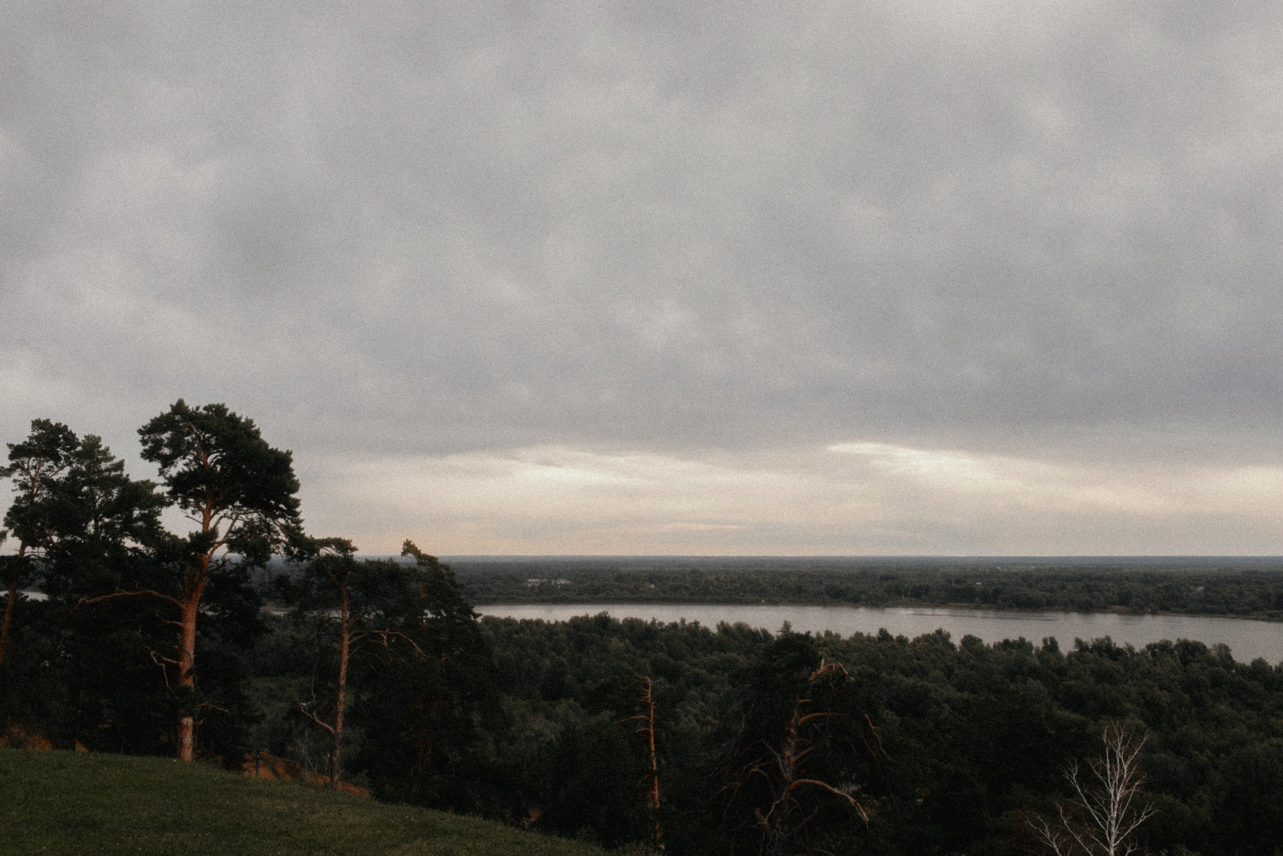 Николай и Елена. Свадебный фотограф Артак Костанян