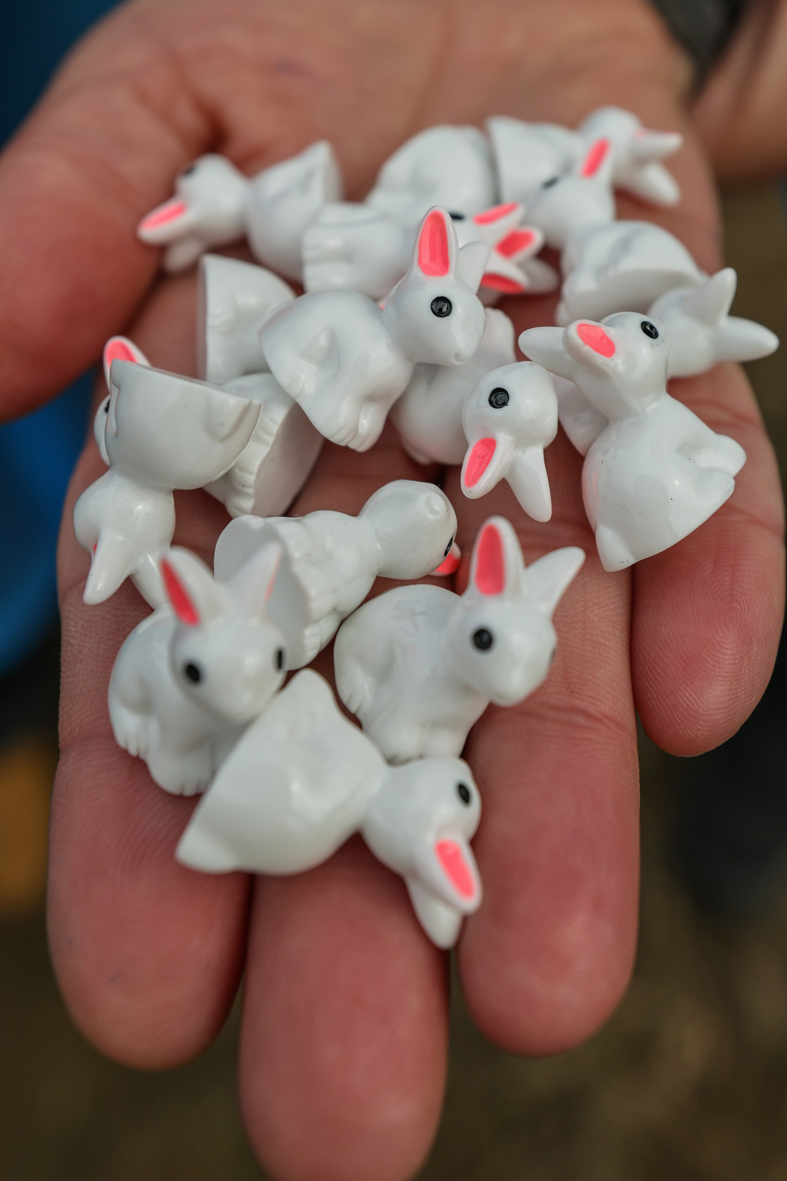 Трейл Химкинский лес, 12.04.26. Фотограф Сергей Ловкий