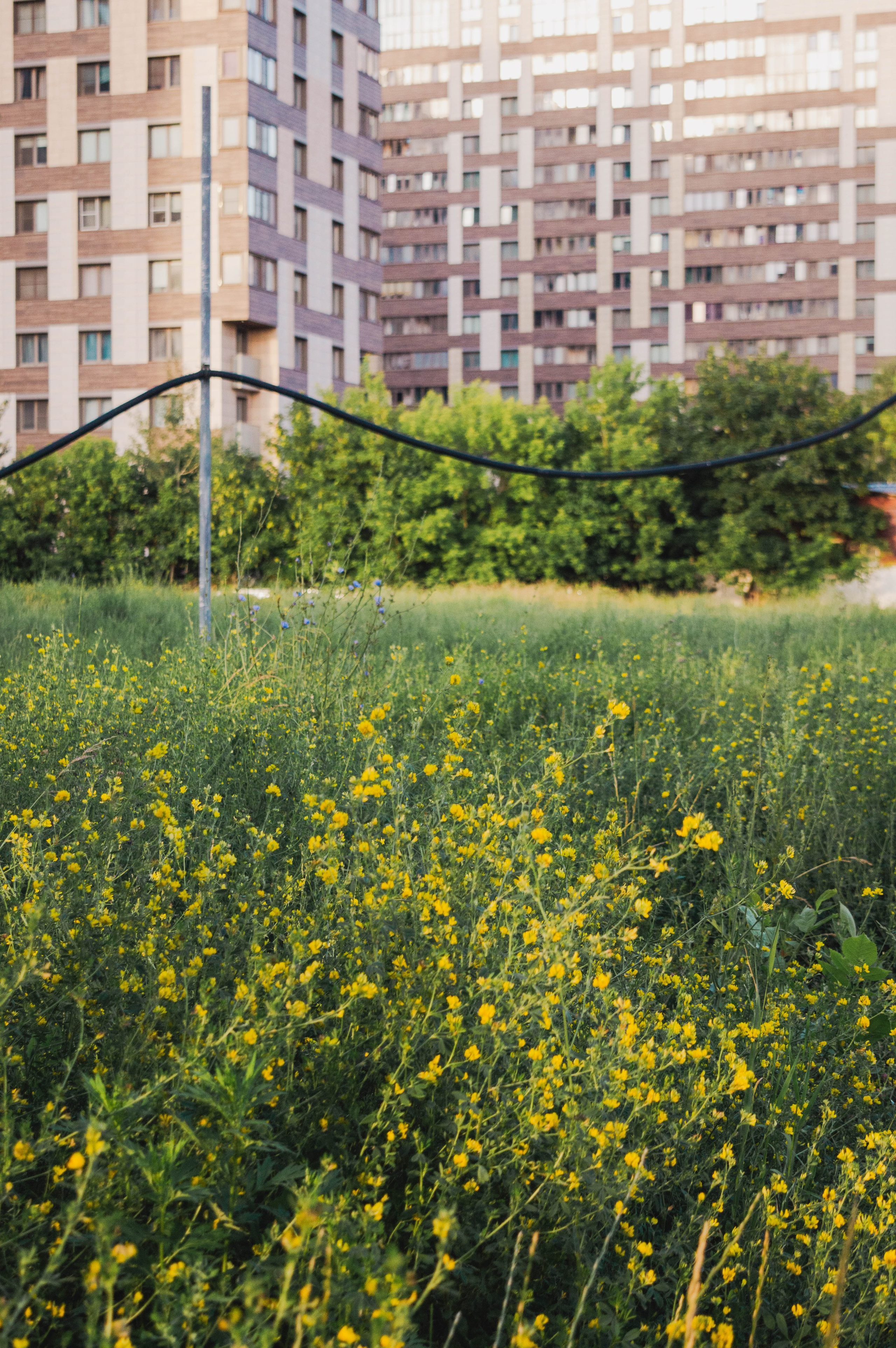 Многослойность городского пространства. Фотограф Анастасия Лощакова в Москве