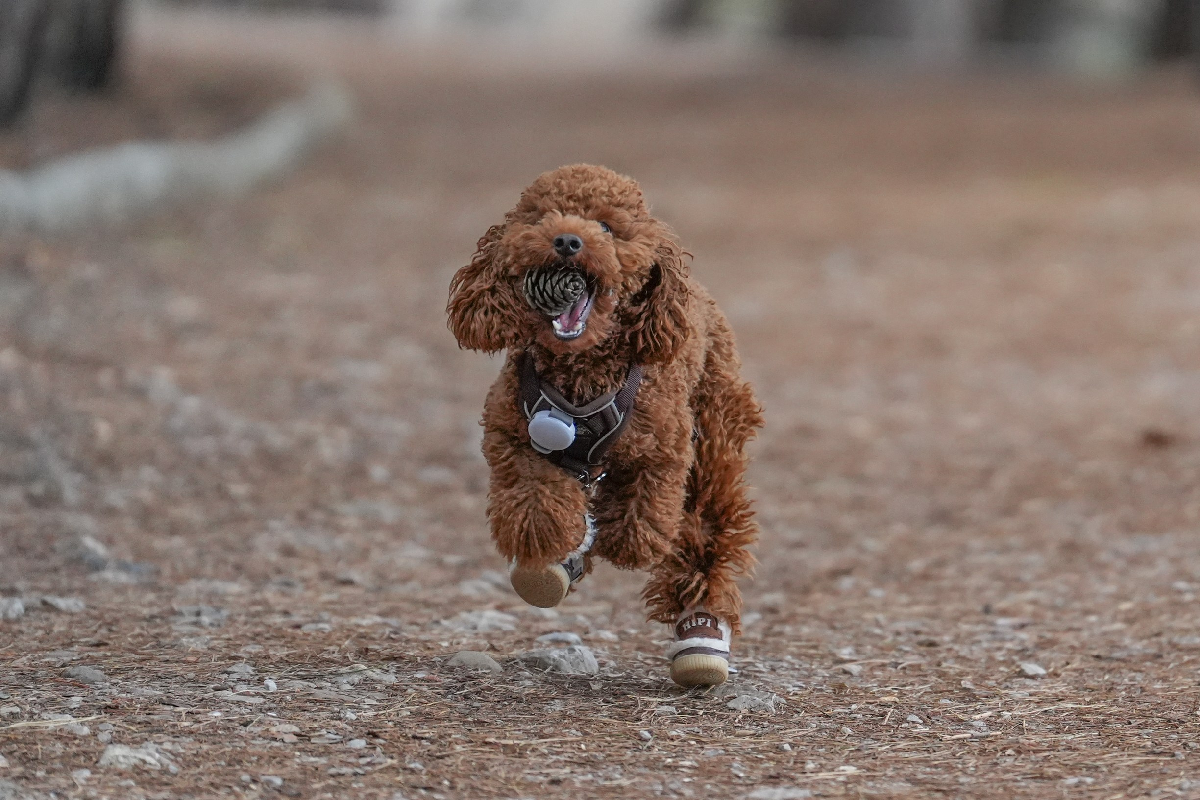 Фотосессия семейная и детская. Фотограф на крещение и венчание в Екатеринбурге. Ольга Мезенцева