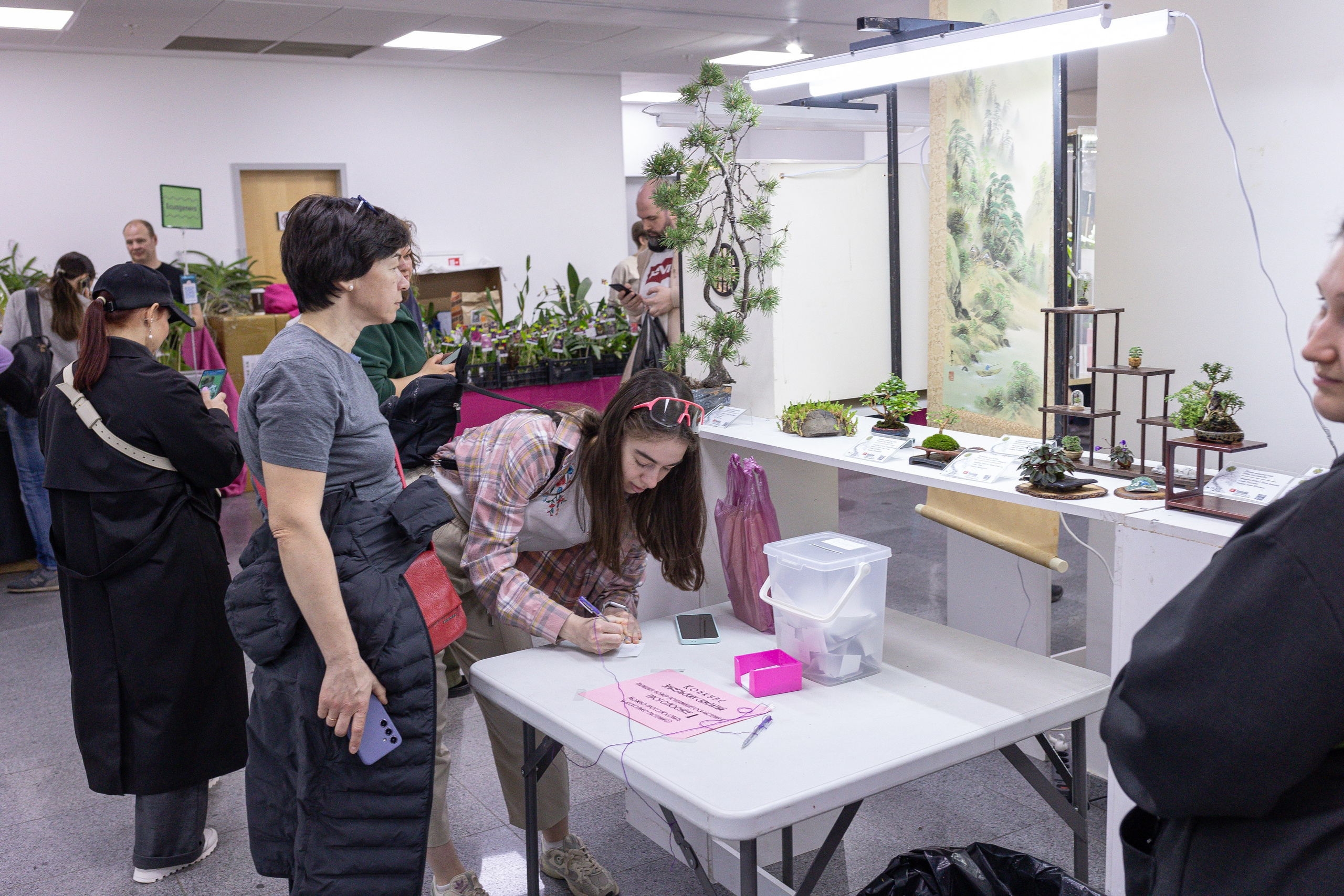 Орхидиум май 2025. Александра Куликова фотограф, Москва