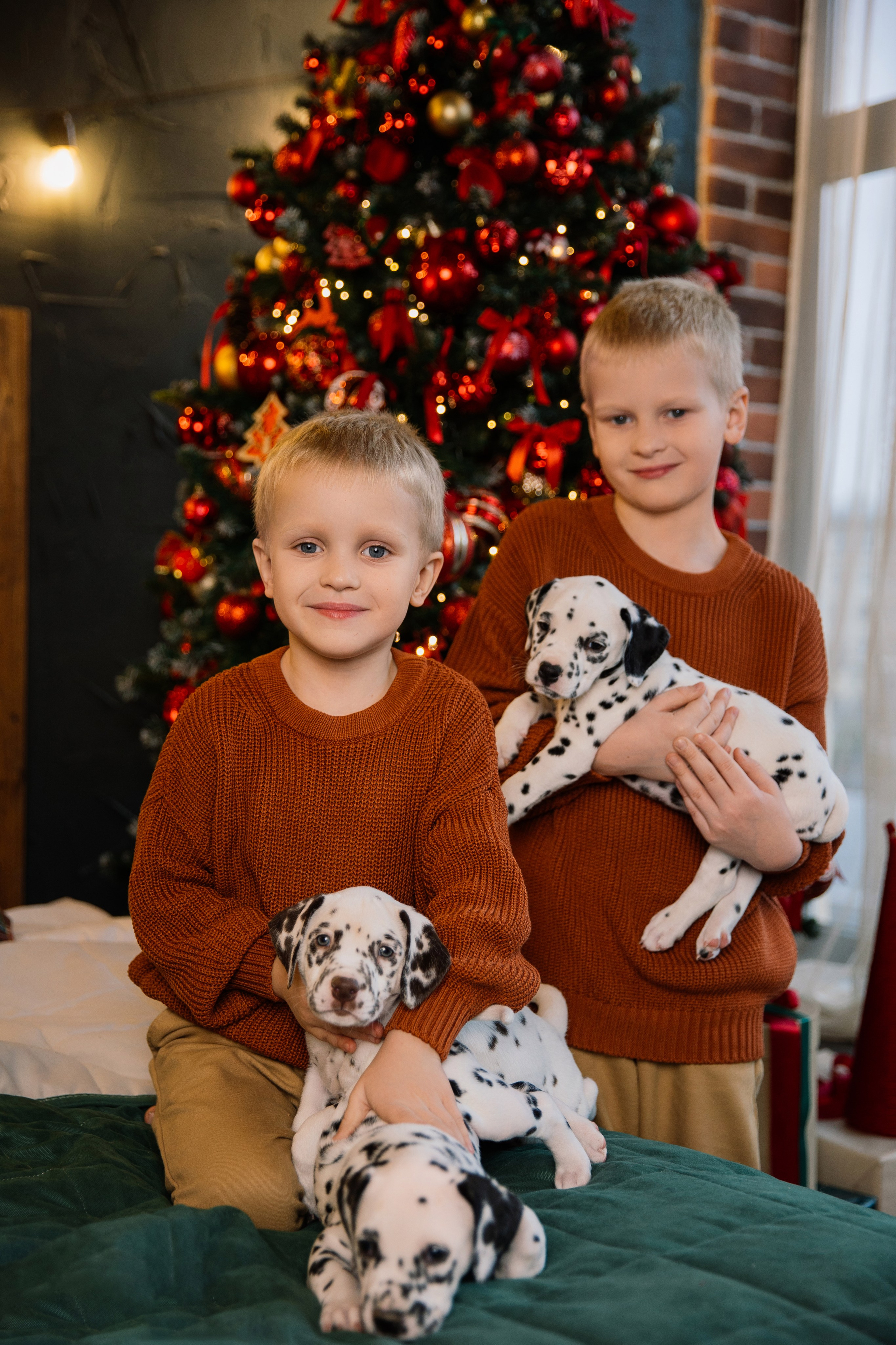 Саша и Рома. Семейный фотограф Толстикова Кристина