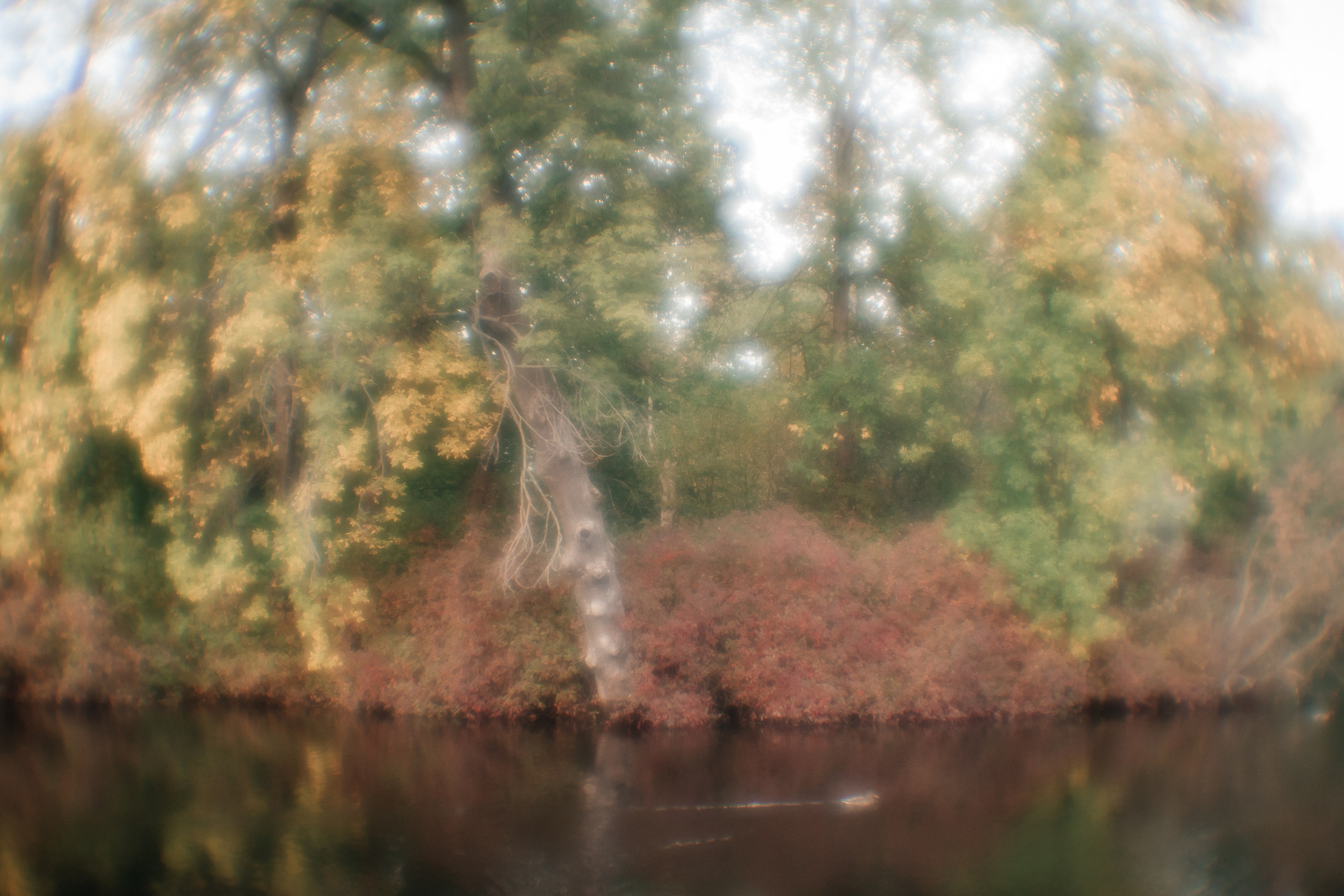 Ирина. Портретный и семейный фотограф Ксения Казанцева