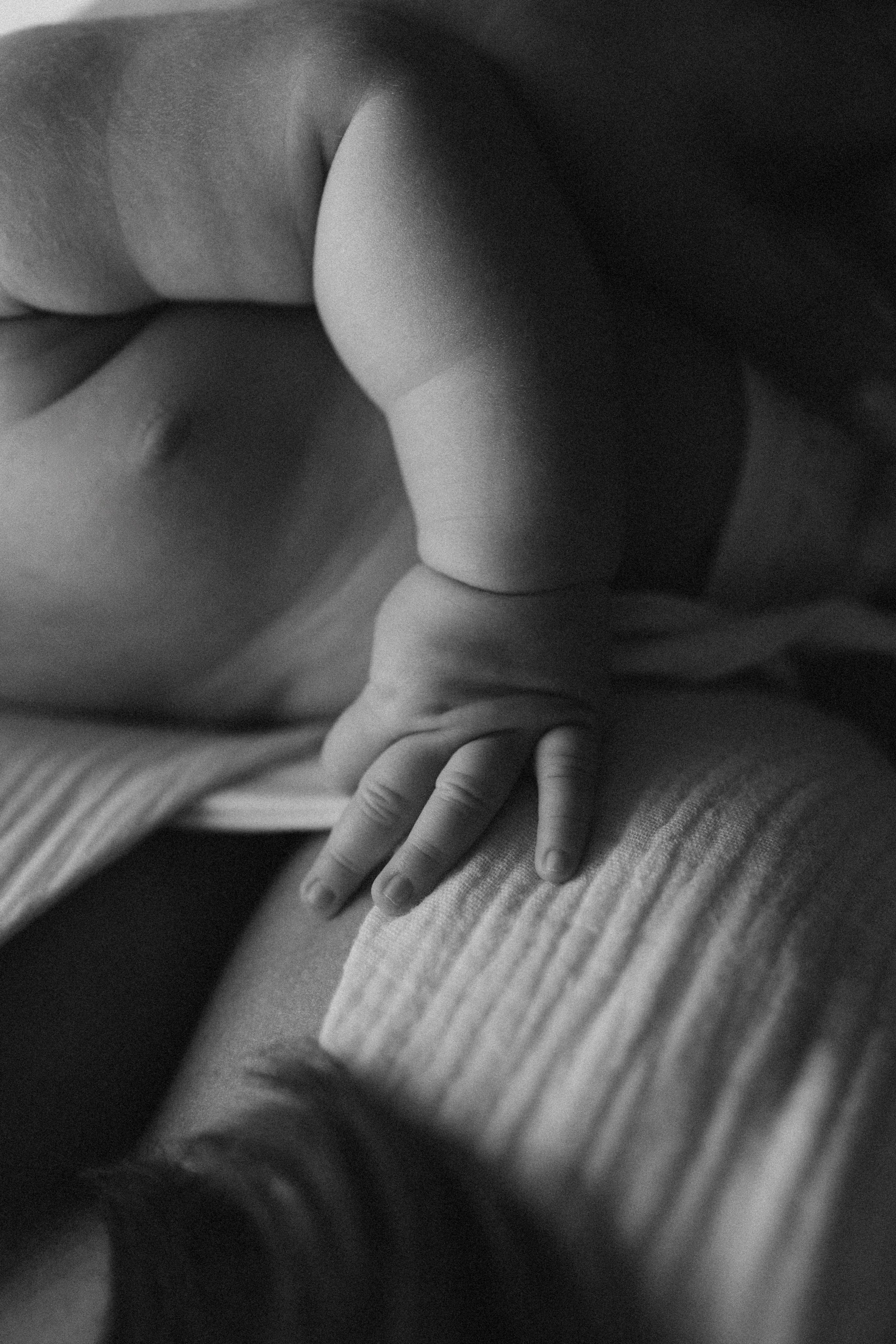 Появление брата. Фотограф из Петербурга