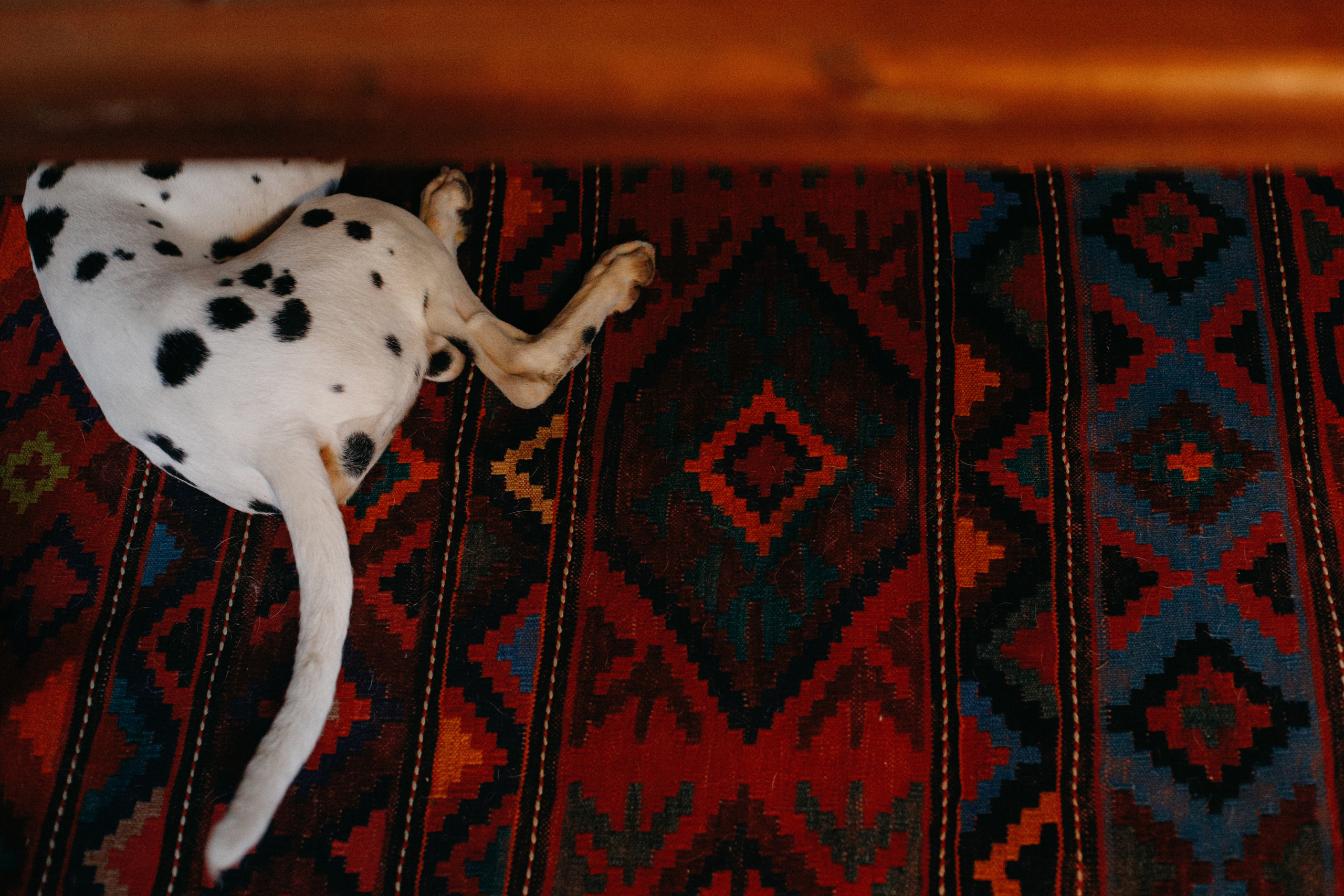 Вечерний ужин!. Свадебный фотограф Полина Мишуринская